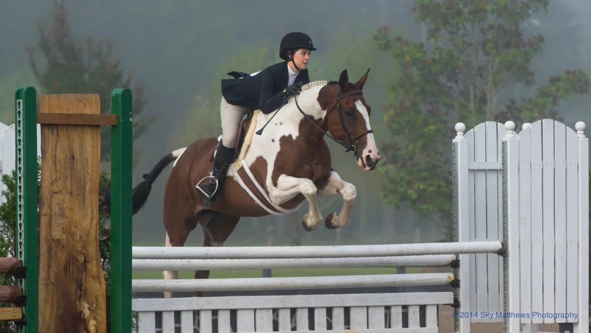 Horses and riders in Aiken, South Carolina