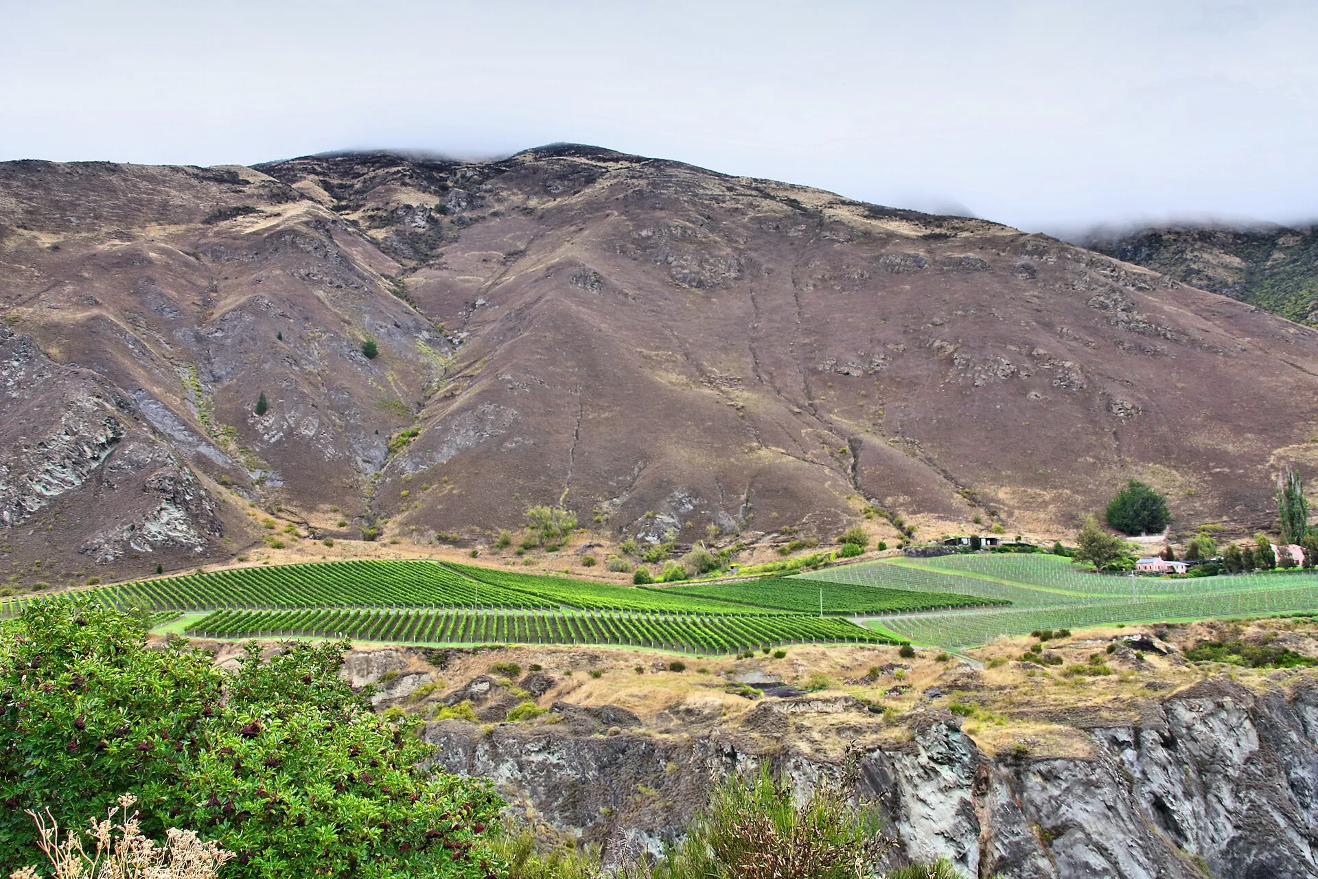Central Otago, New Zealand