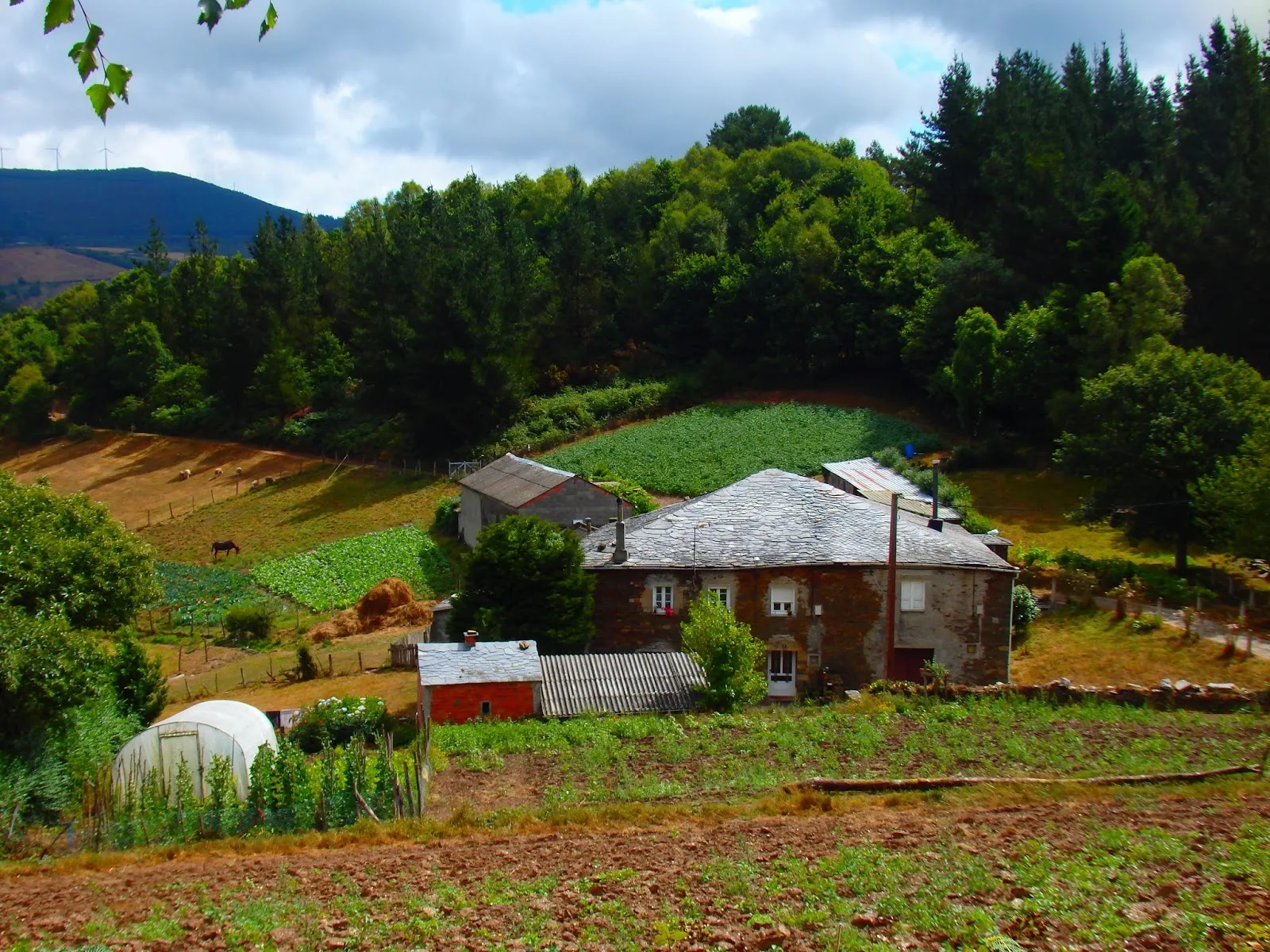 A rural stone farmhouse in the green countryside of Galicia, Spain