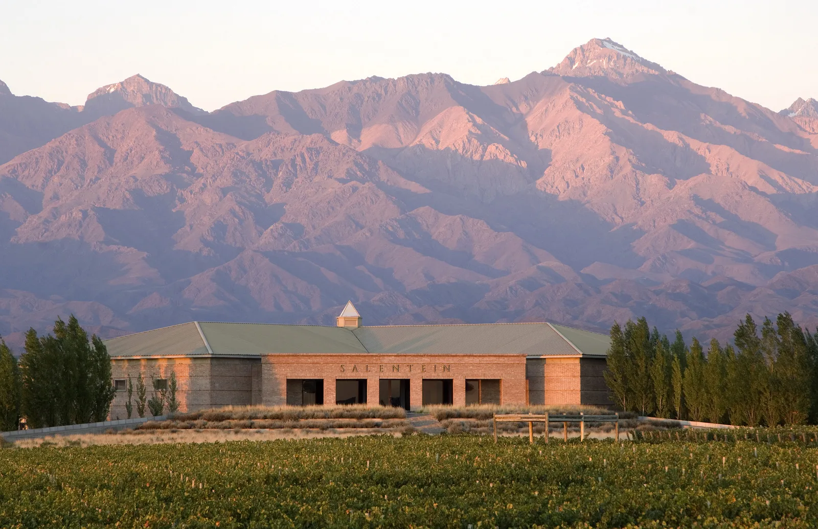 A vineyard estate (finca) with the Andes behind it near Mendoza, Argentina