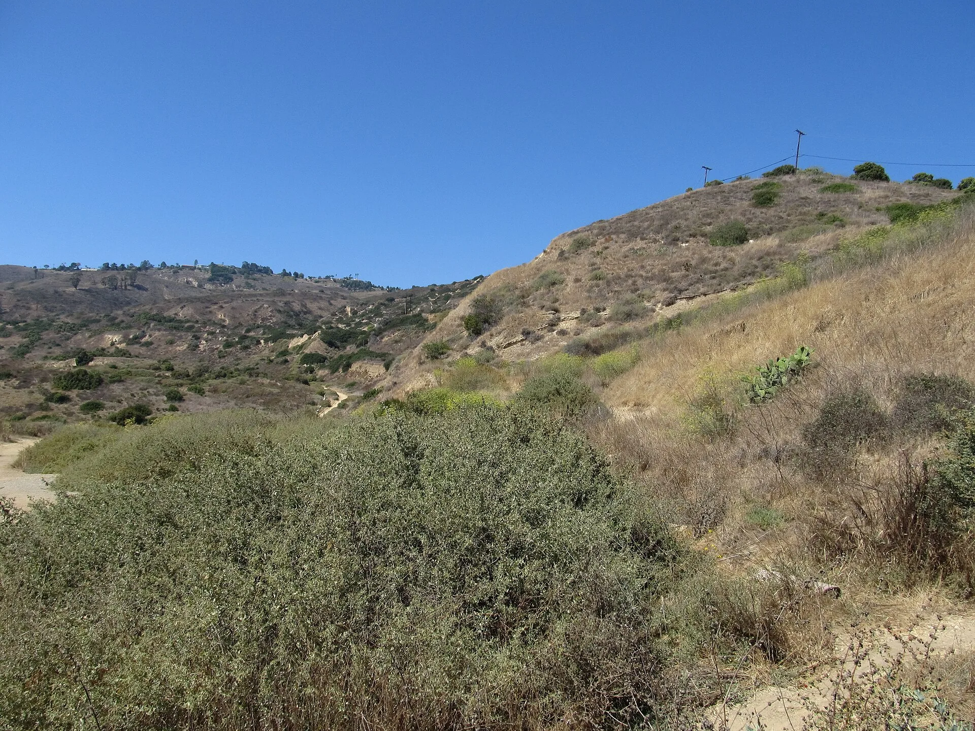Palos Verdes, USA