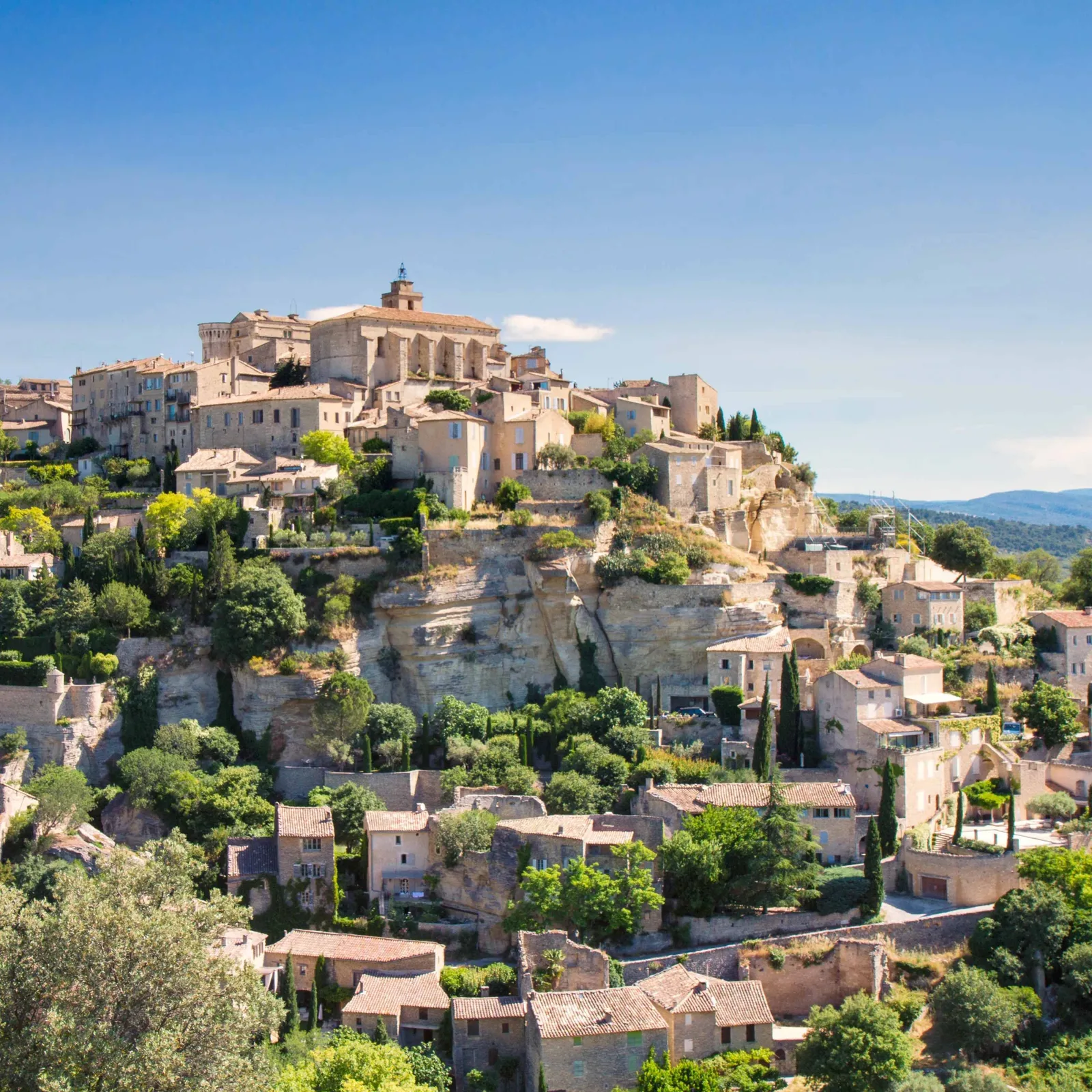 Vineyards and lavender in the countryside of Provence, France