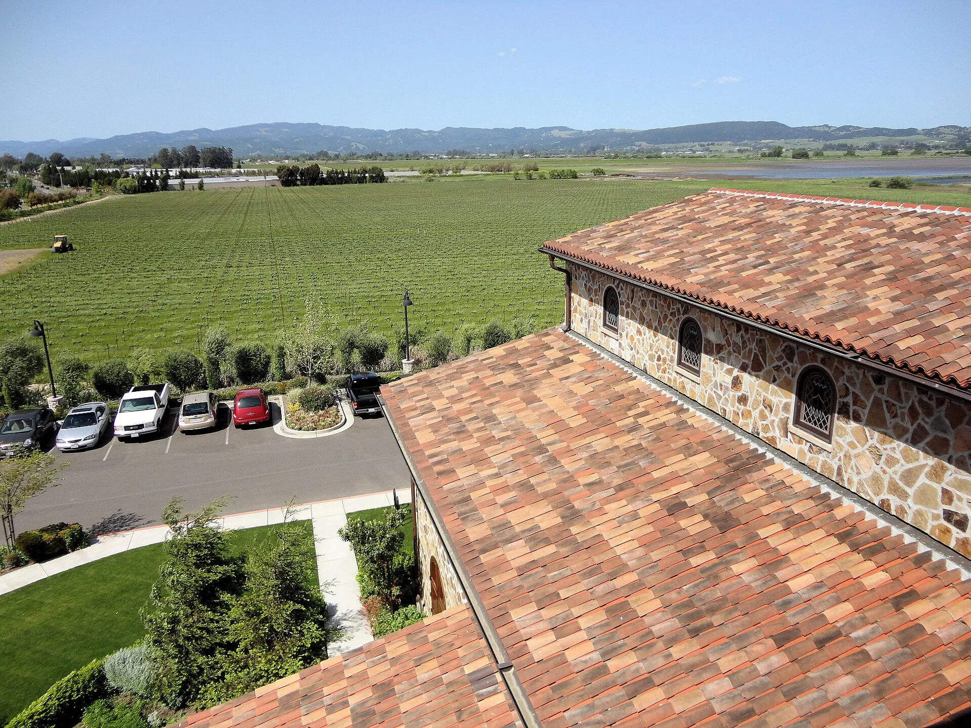 Vineyards rolling across the hills of Sonoma County, California