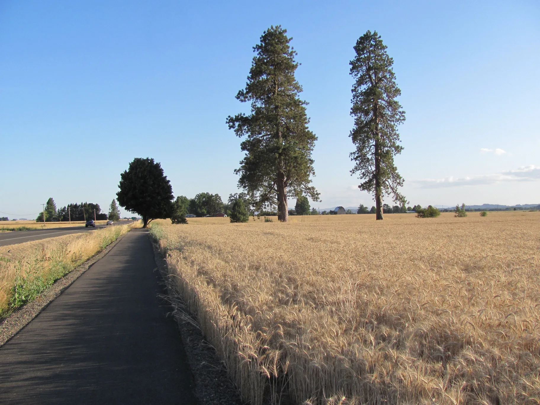 Willamette Valley, USA