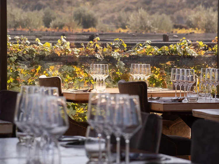 Charming Mendoza street or neighborhood with food-and-wine city lifestyle