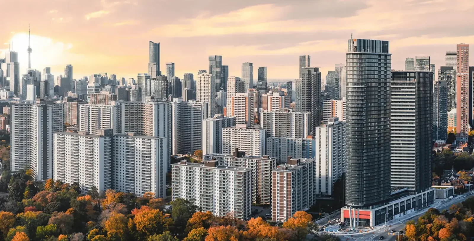 Toronto skyline at golden hour with the CN Tower in the distance, dense condo towers and autumn foliage in the foreground
