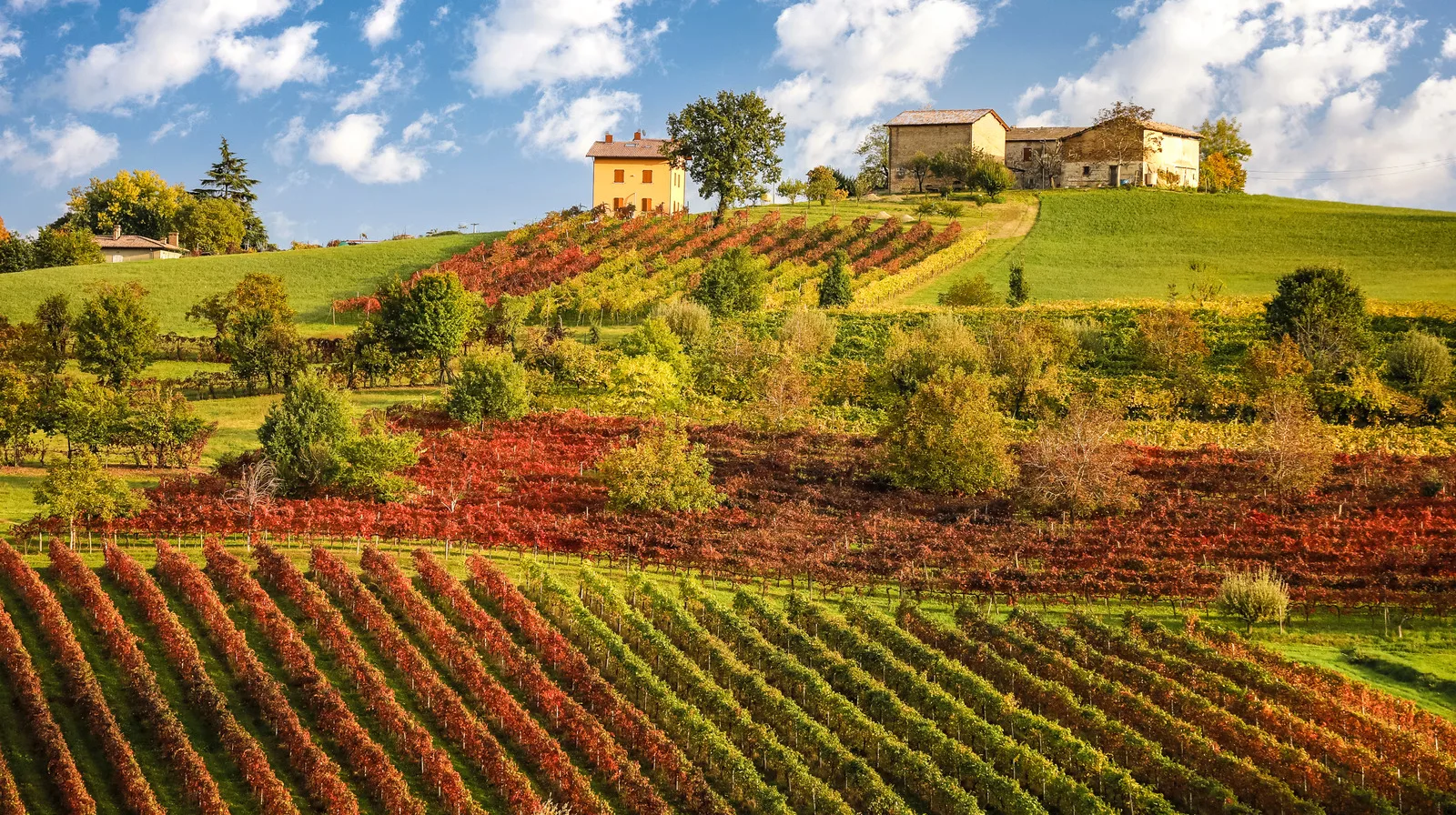 Farmhouse or country house in Emilia-Romagna
