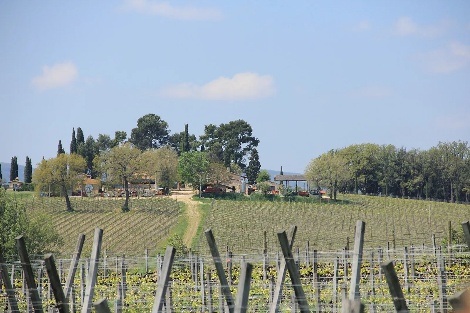 Rolling vineyards and farmland with cypress trees and a country house in the Umbrian countryside, Italy