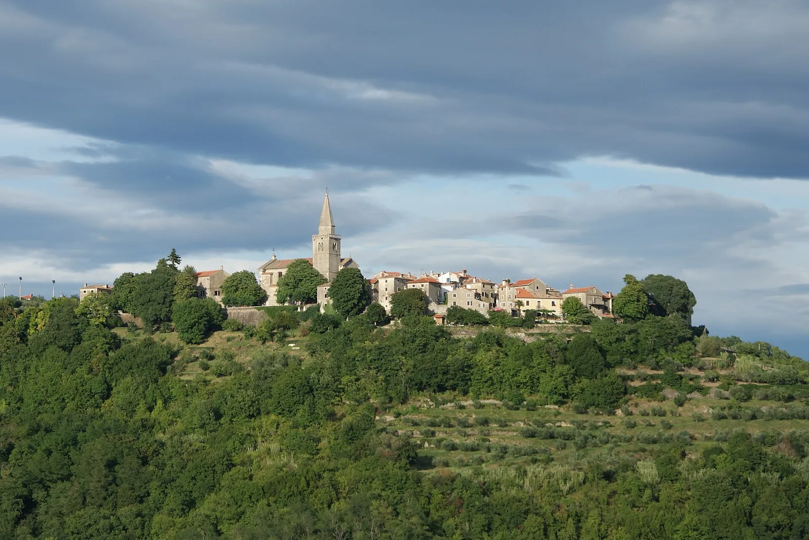 The hilltop stone town of Grožnjan above green rolling hills in Istria, Croatia