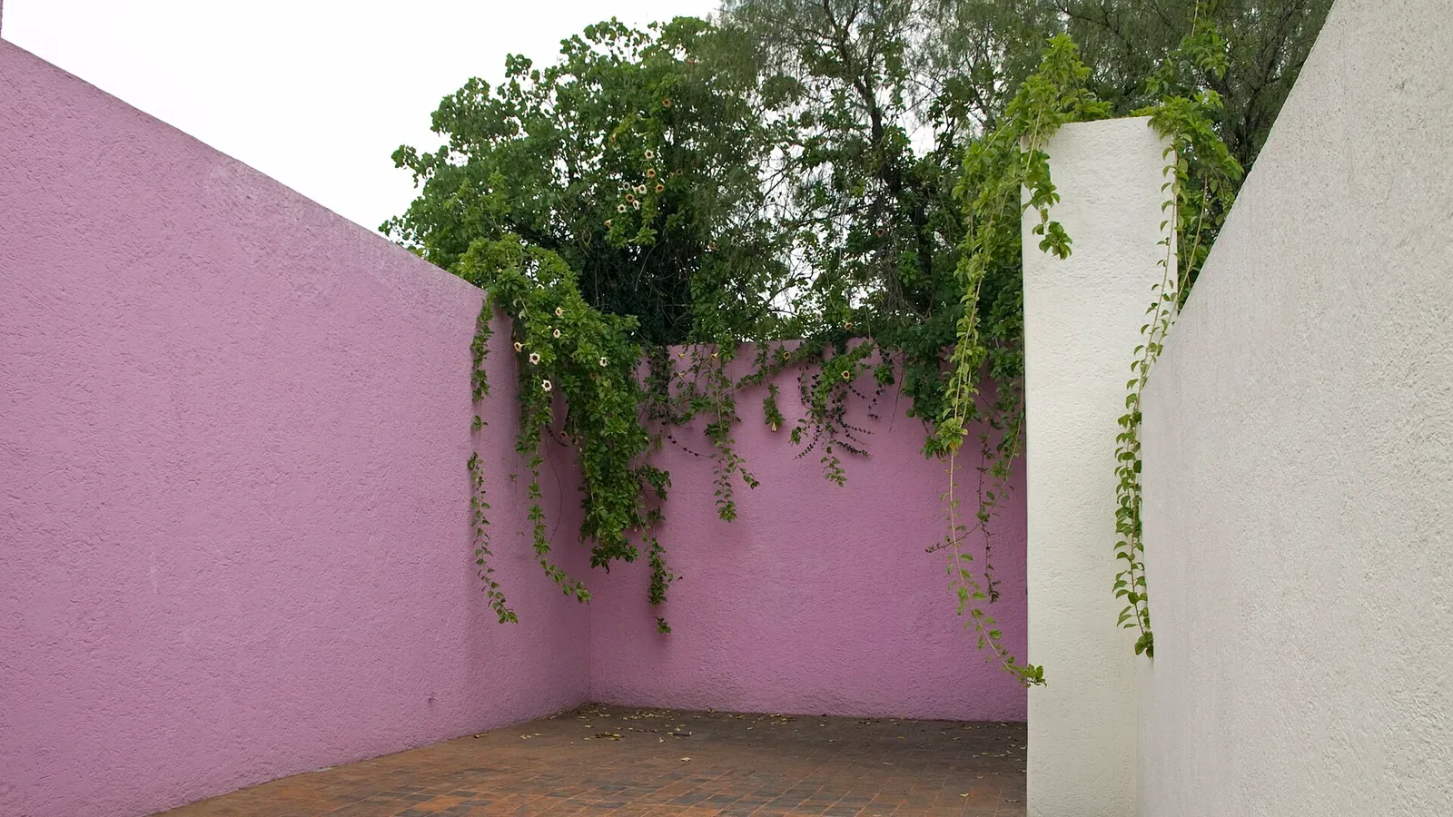 Rooftop terrace with pink and ochre walls at Luis Barragán's modernist house in Mexico City, an icon of mid-century modern residential architecture