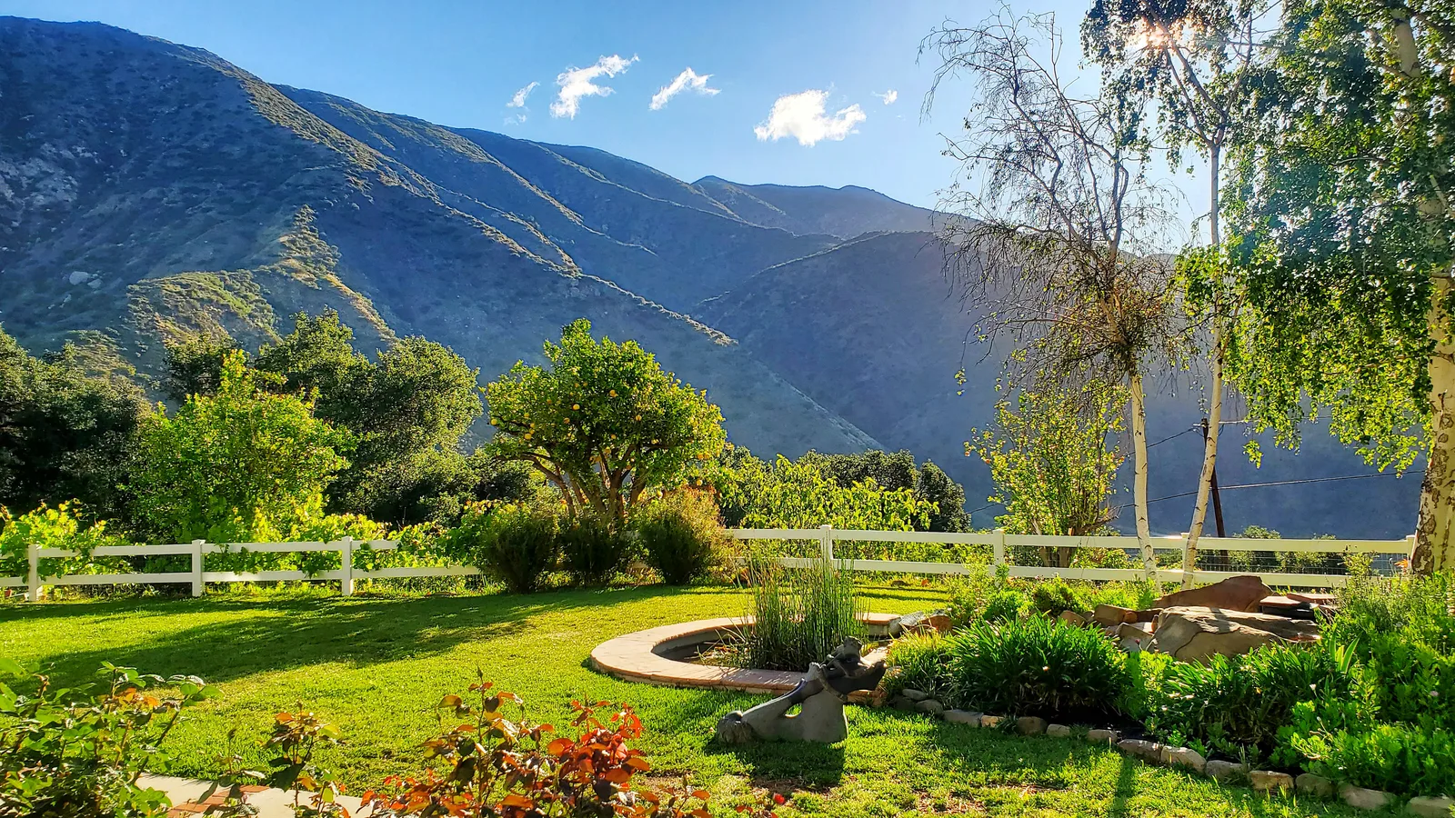 A lush green garden with a citrus tree below the Topatopa Mountains under a blue sky in the Ojai Valley, California