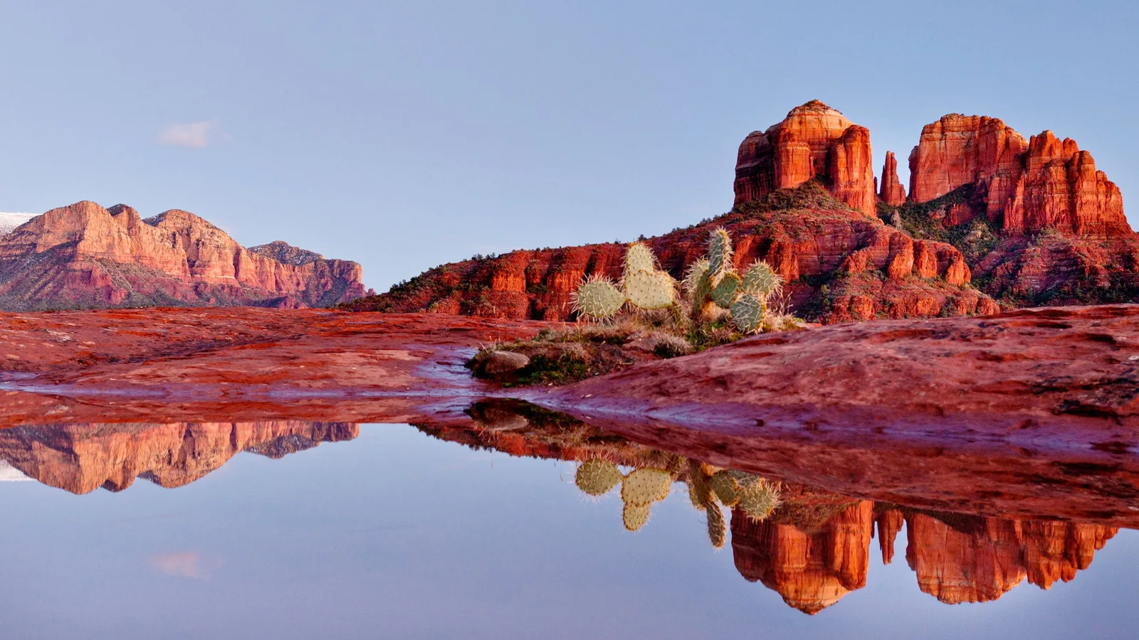The red sandstone spires of Cathedral Rock reflected in a still pool at dusk with prickly-pear cactus in Sedona, Arizona