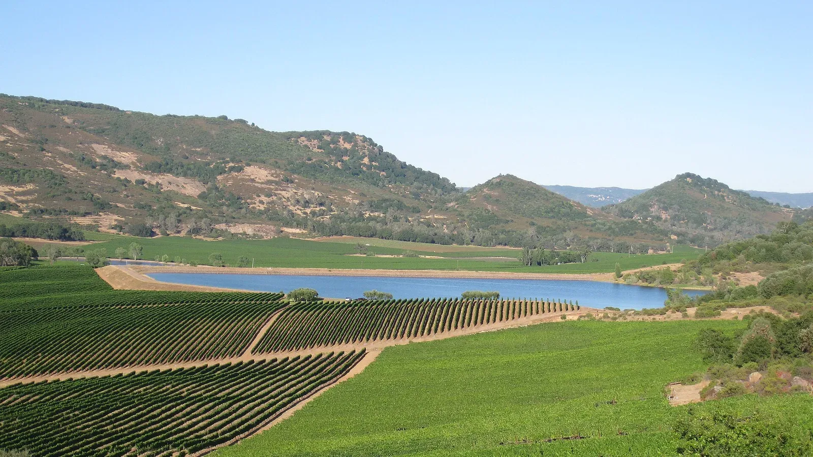 Hillside vineyards above a reservoir at Atlas Peak in Napa Valley, California