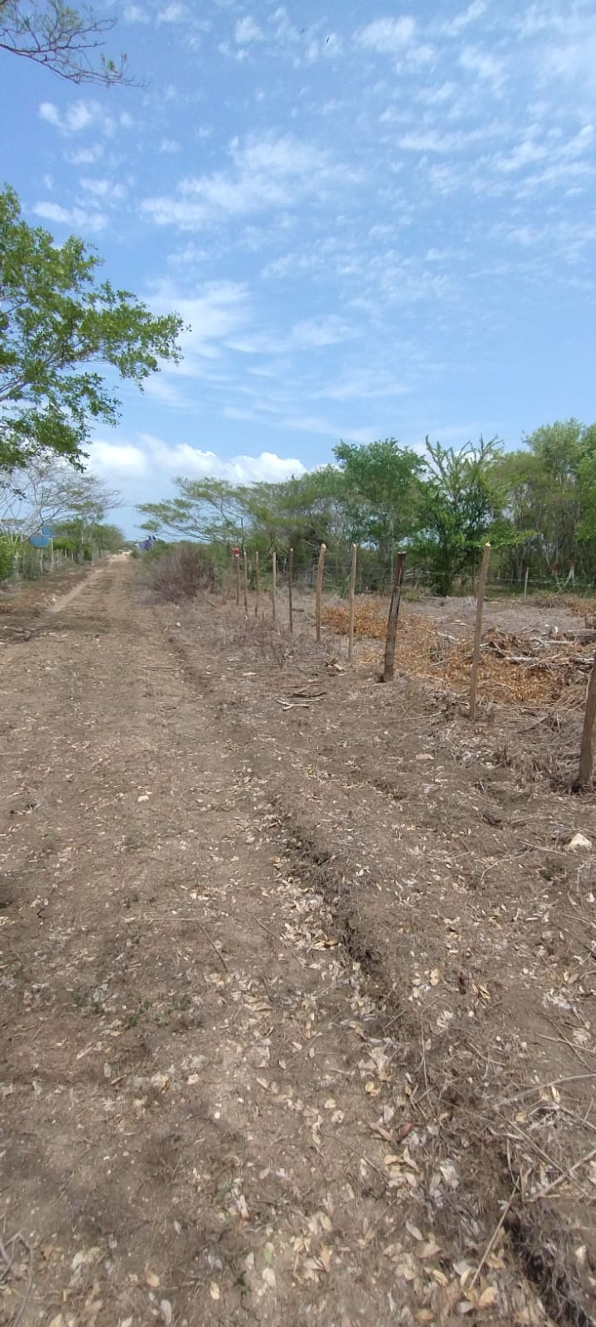 Great Opportunity in the North Zone! 2,191 m² land lot in Manzanillo (near the British School) – Cartagena. - Photo 10