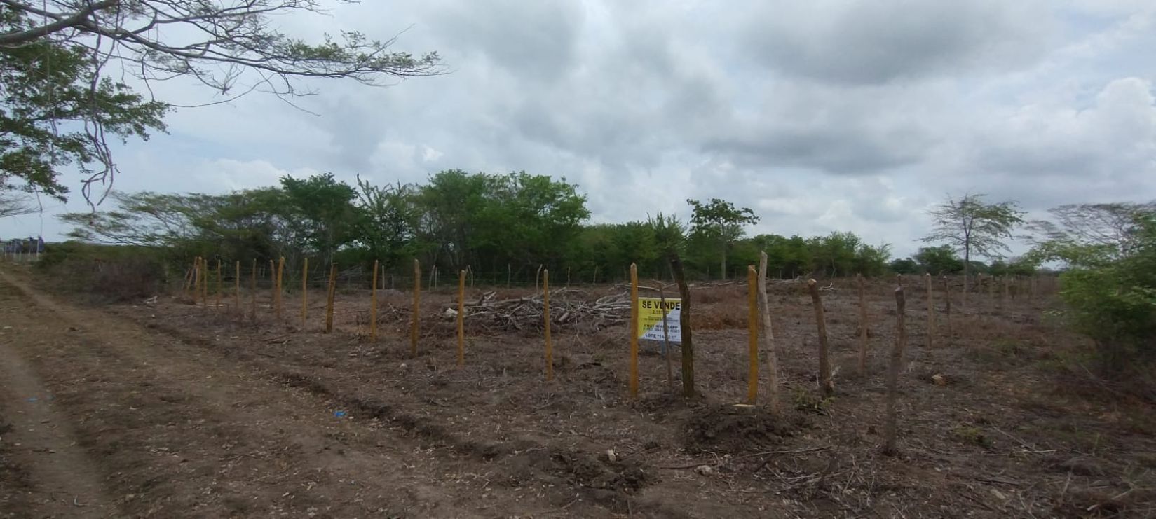Great Opportunity in the North Zone! 2,191 m² land lot in Manzanillo (near the British School) – Cartagena. - Photo 6