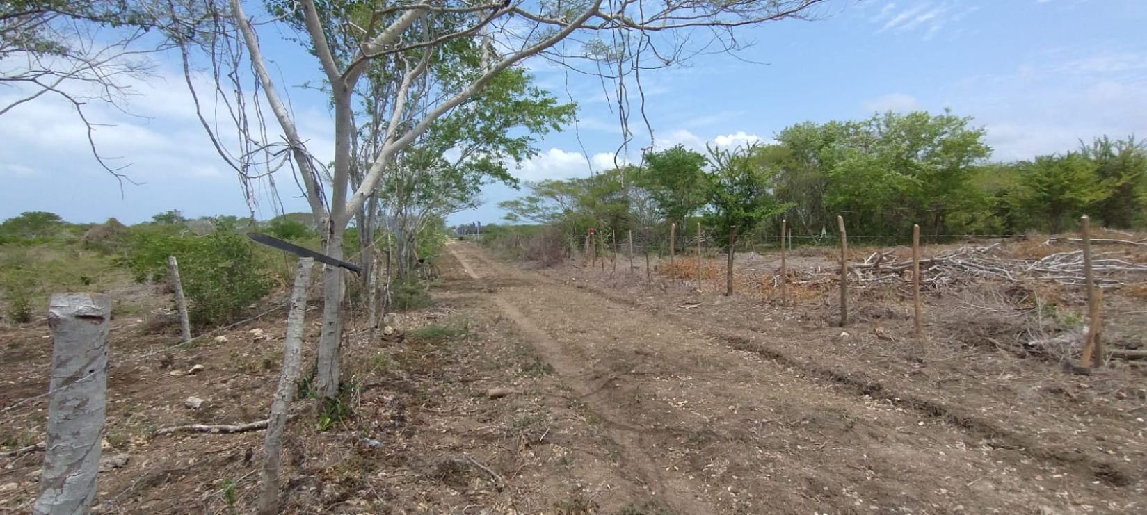 Great Opportunity in the North Zone! 2,191 m² land lot in Manzanillo (near the British School) – Cartagena. - Photo 9