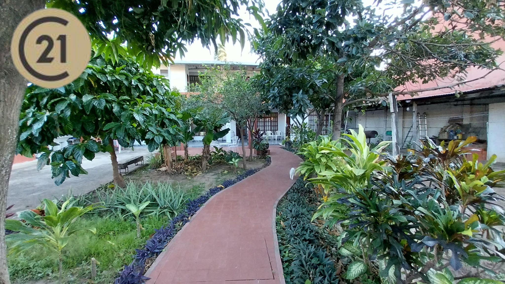EN VENTA, ZONA ESTE, CASA DE 4 HABITACIONES: VIVIENDA Y NEGOCIO - Photo 13