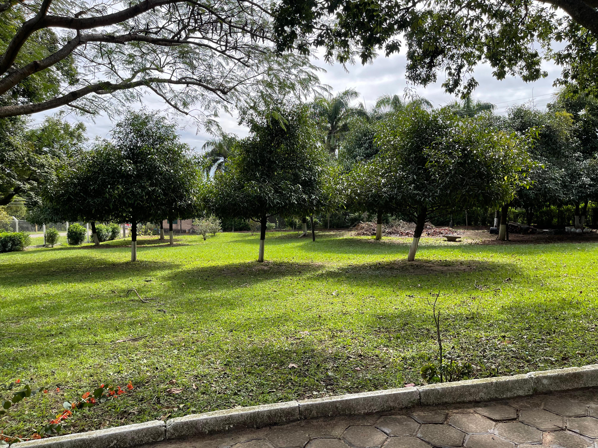 QUINTA EXCLUSIVA EN VENTA - ZONA SUR OESTE - Photo 4