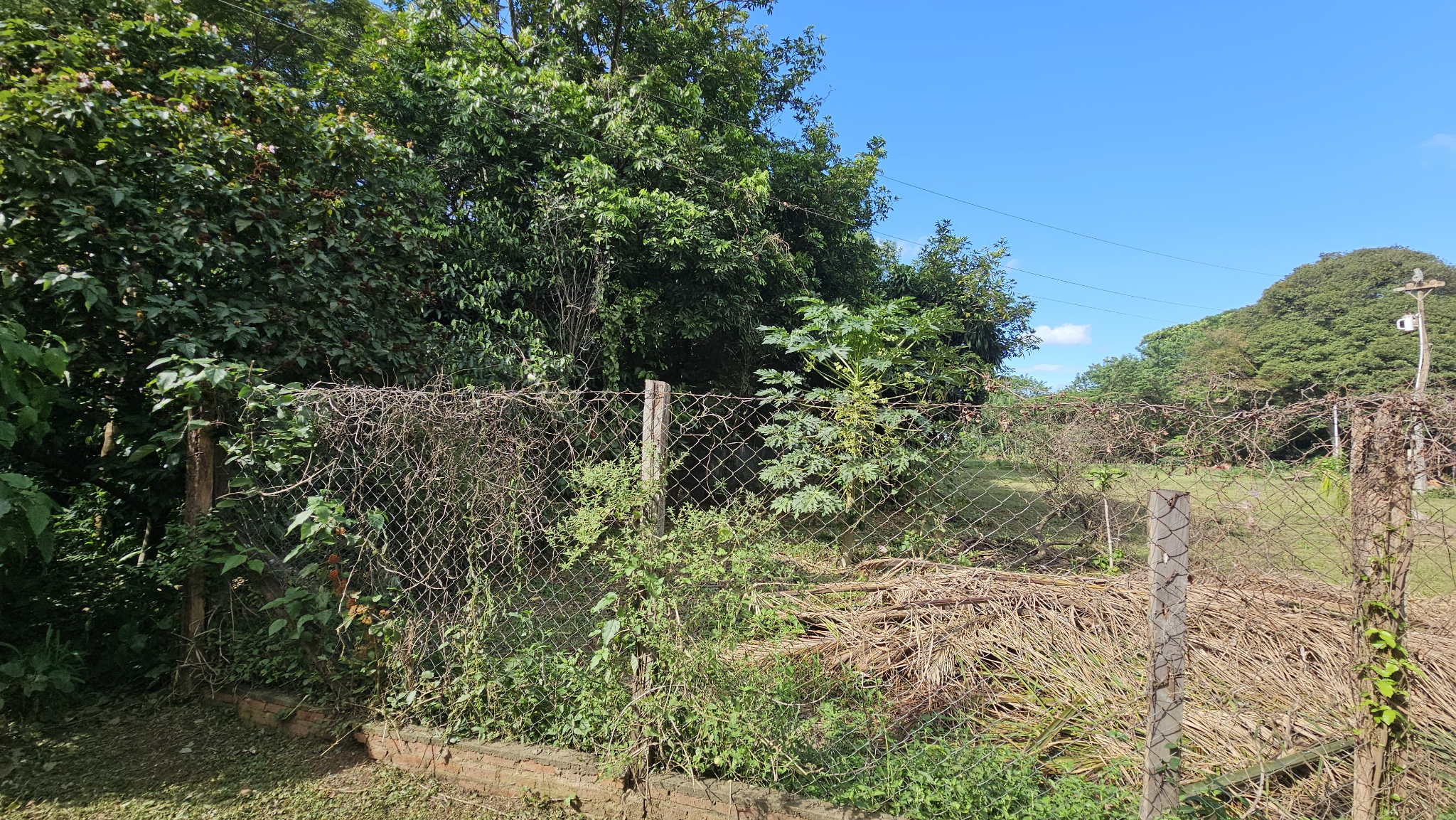TERRENO EN VENTA – ZONA NORTE - Photo 14