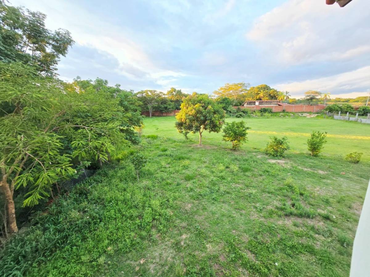 CASA CON GALPON Y AMPLIO TERRENO EN VENTA ZONA NUEVO PALMAR - Photo 5