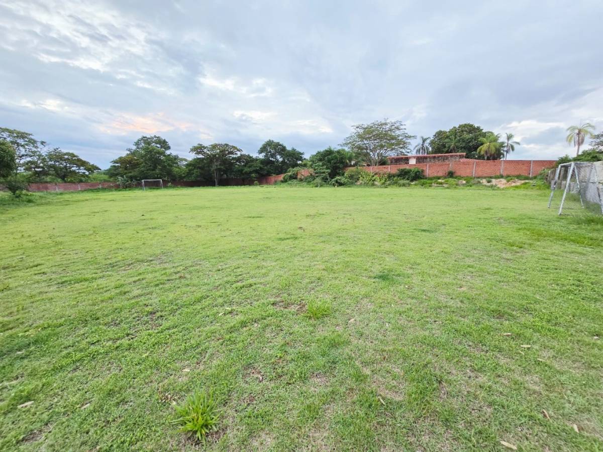 CASA CON GALPON Y AMPLIO TERRENO EN VENTA ZONA NUEVO PALMAR - Photo 8