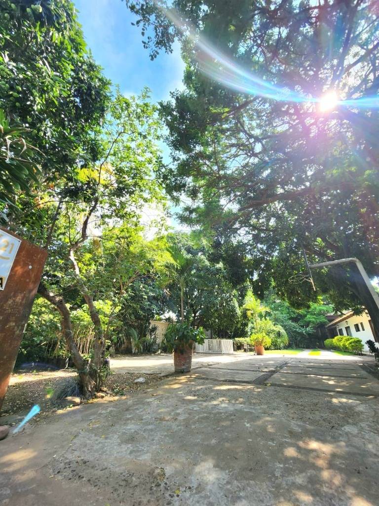 Casa a precio de Terreno en Venta Zona Sur - Mercado El Trompillo - Photo 4