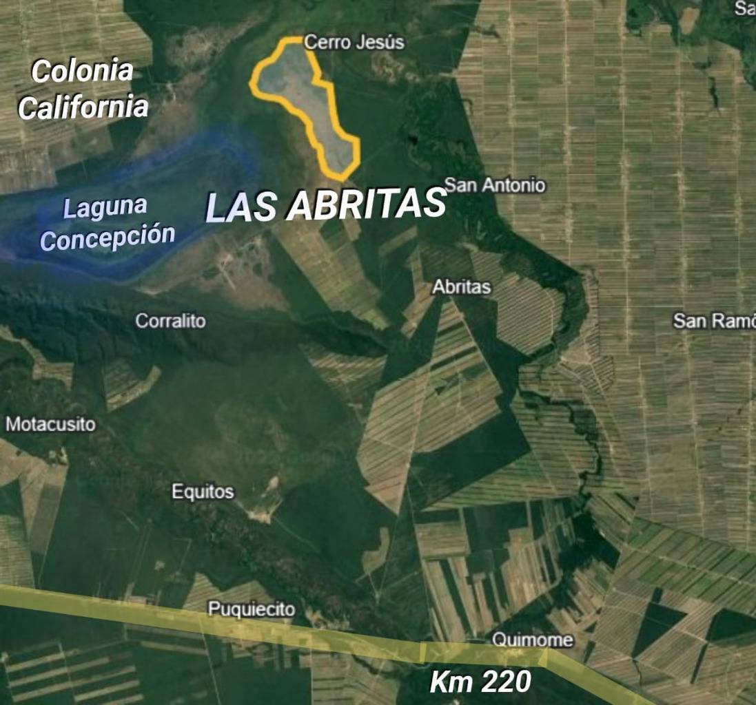 Propiedad Ganadera en venta en Laguna Concepción de 1535 hectáreas - Photo 2