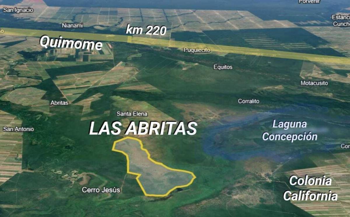 Propiedad Ganadera en venta en Laguna Concepción de 1535 hectáreas - Photo 3