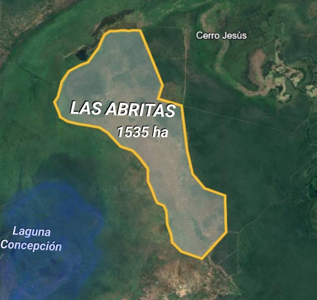 Propiedad Ganadera en venta en Laguna Concepción de 1535 hectáreas - Photo 4