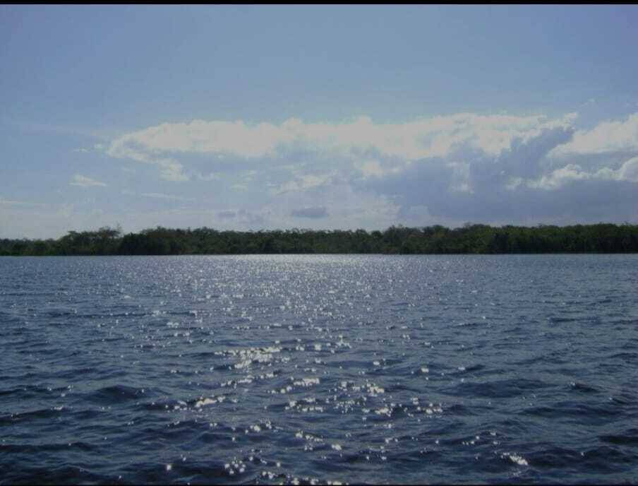 Propiedad Ganadera en venta en Laguna Concepción de 1535 hectáreas - Photo 7