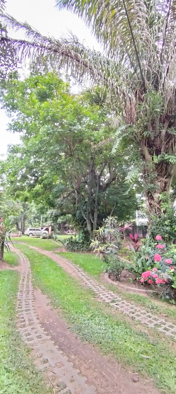 CASA QUINTA ????✨ Hermosa quinta en Venta – Norte de Santa Cruz ✨ - Photo 5