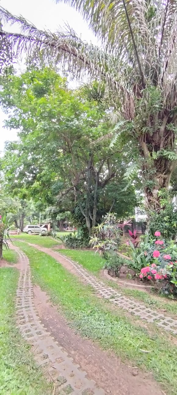 CASA QUINTA ????✨ Hermosa quinta en Venta – Norte de Santa Cruz ✨ - Photo 9
