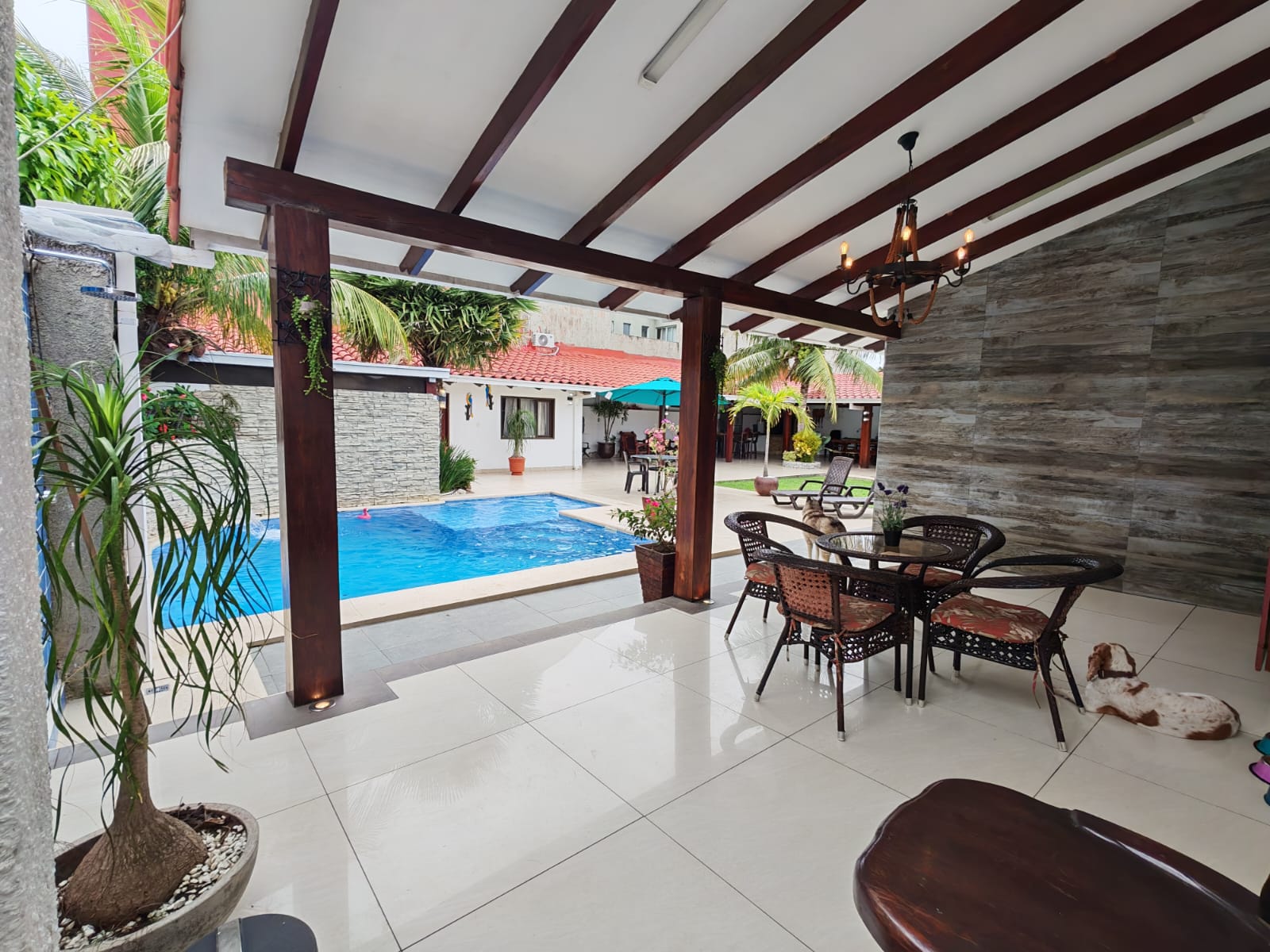 En Venta! Amplia Casa Comercial en Av. Alemana - Photo 8