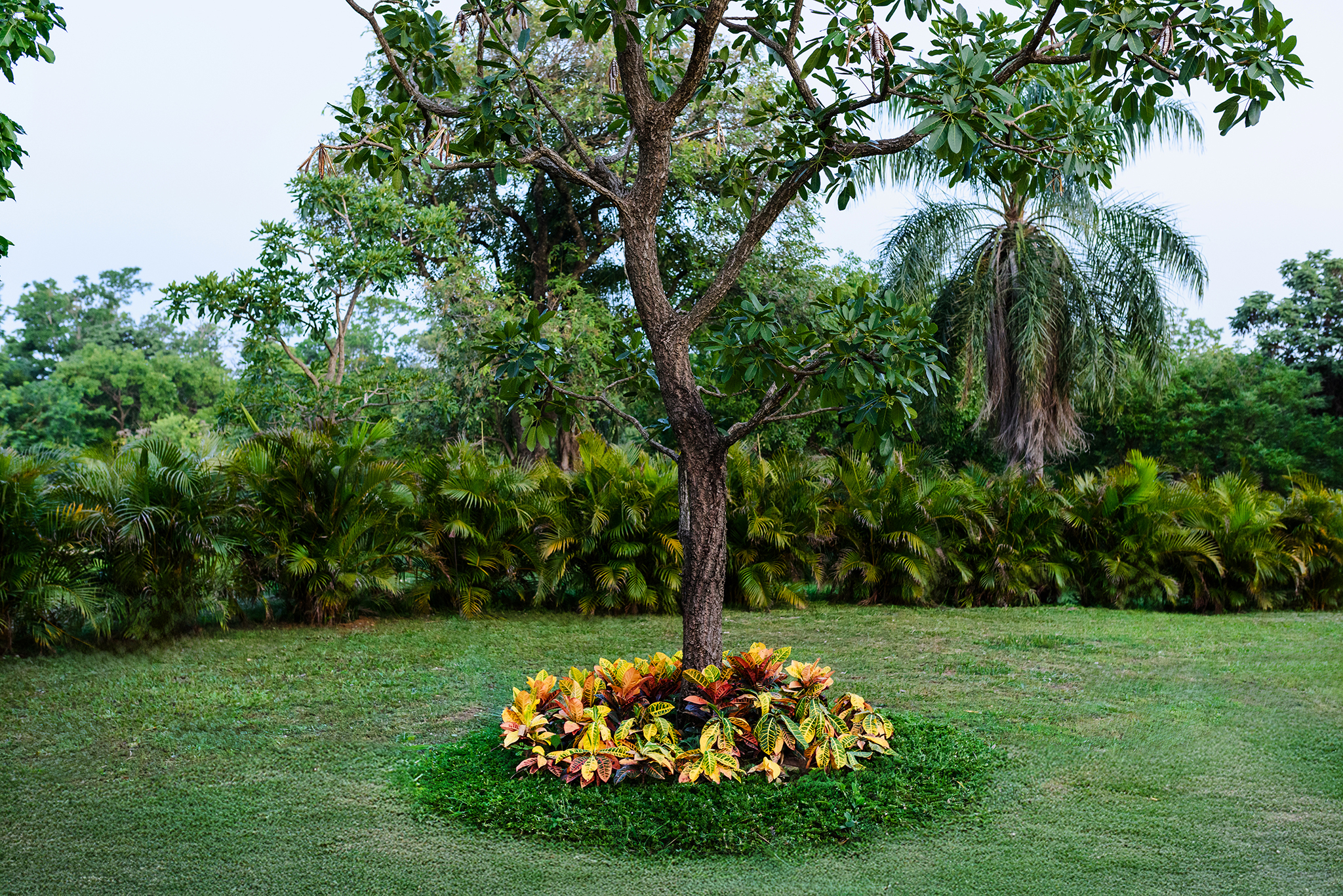 Quinta “Las Arecas” – Zona Pedro Lorenzo, Santa Cruz - Photo 14