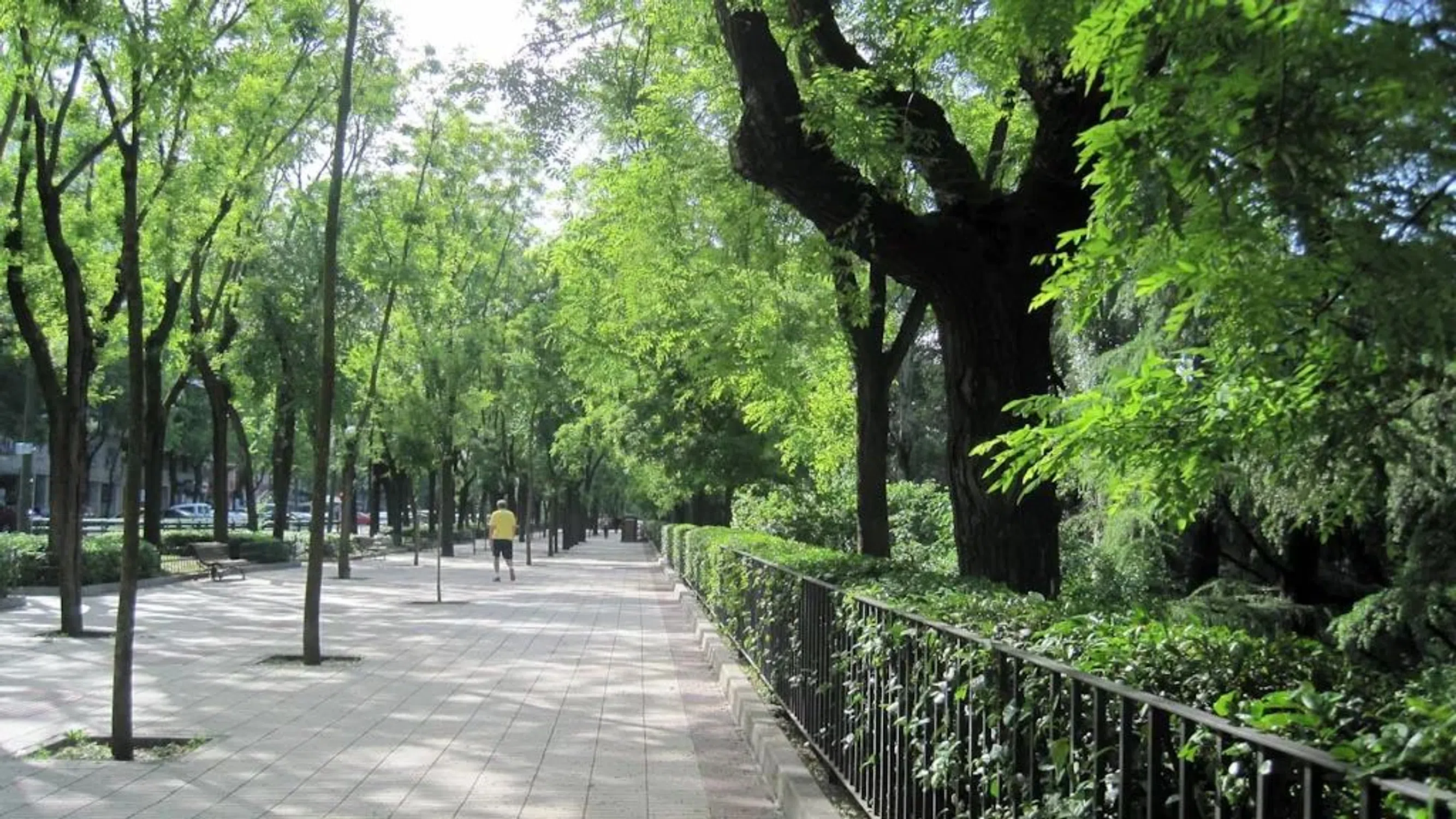 Piso en paseo del Pintor Rosales - Photo 3