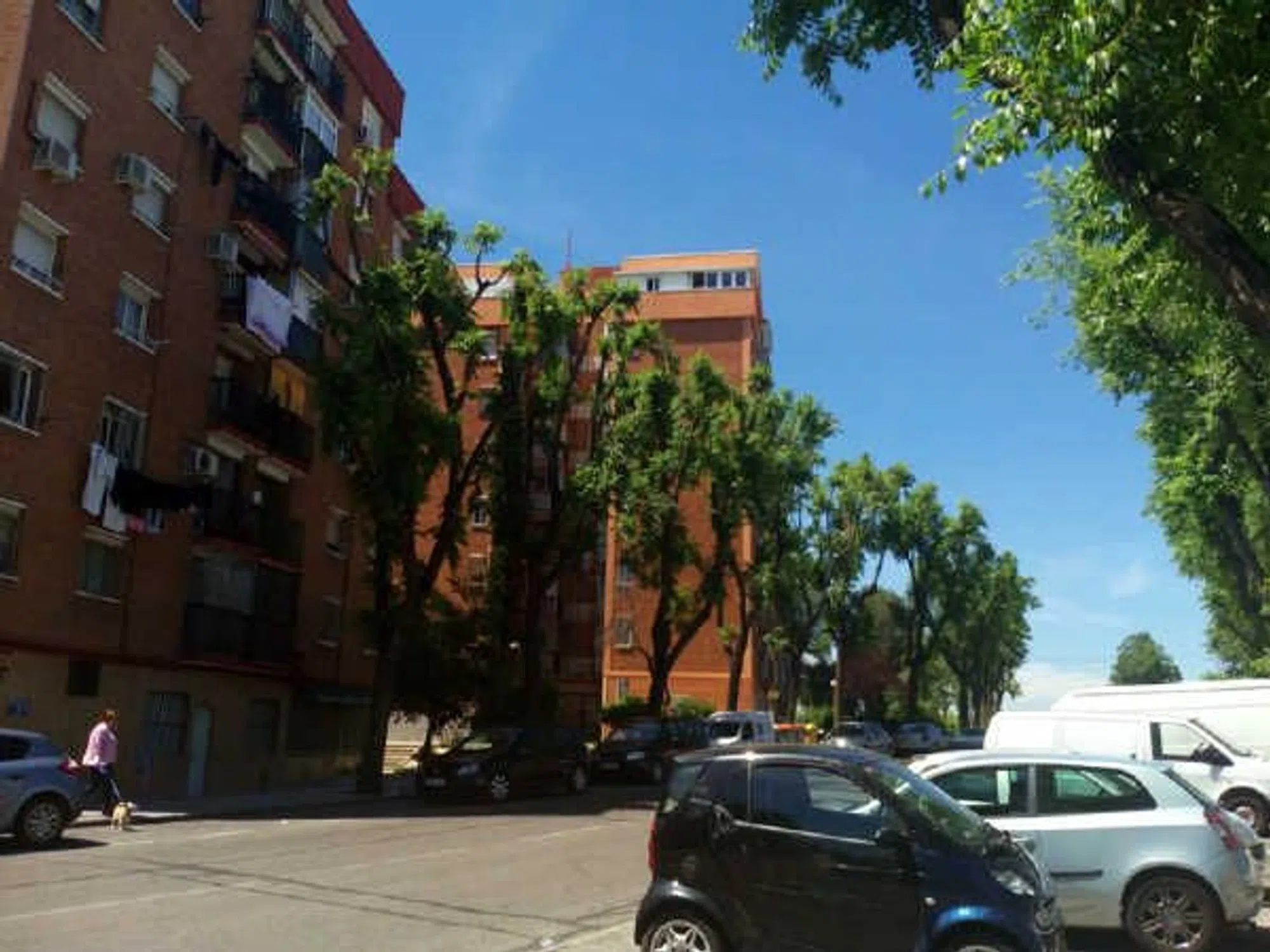 Piso en del Sur, 101 - Photo 3