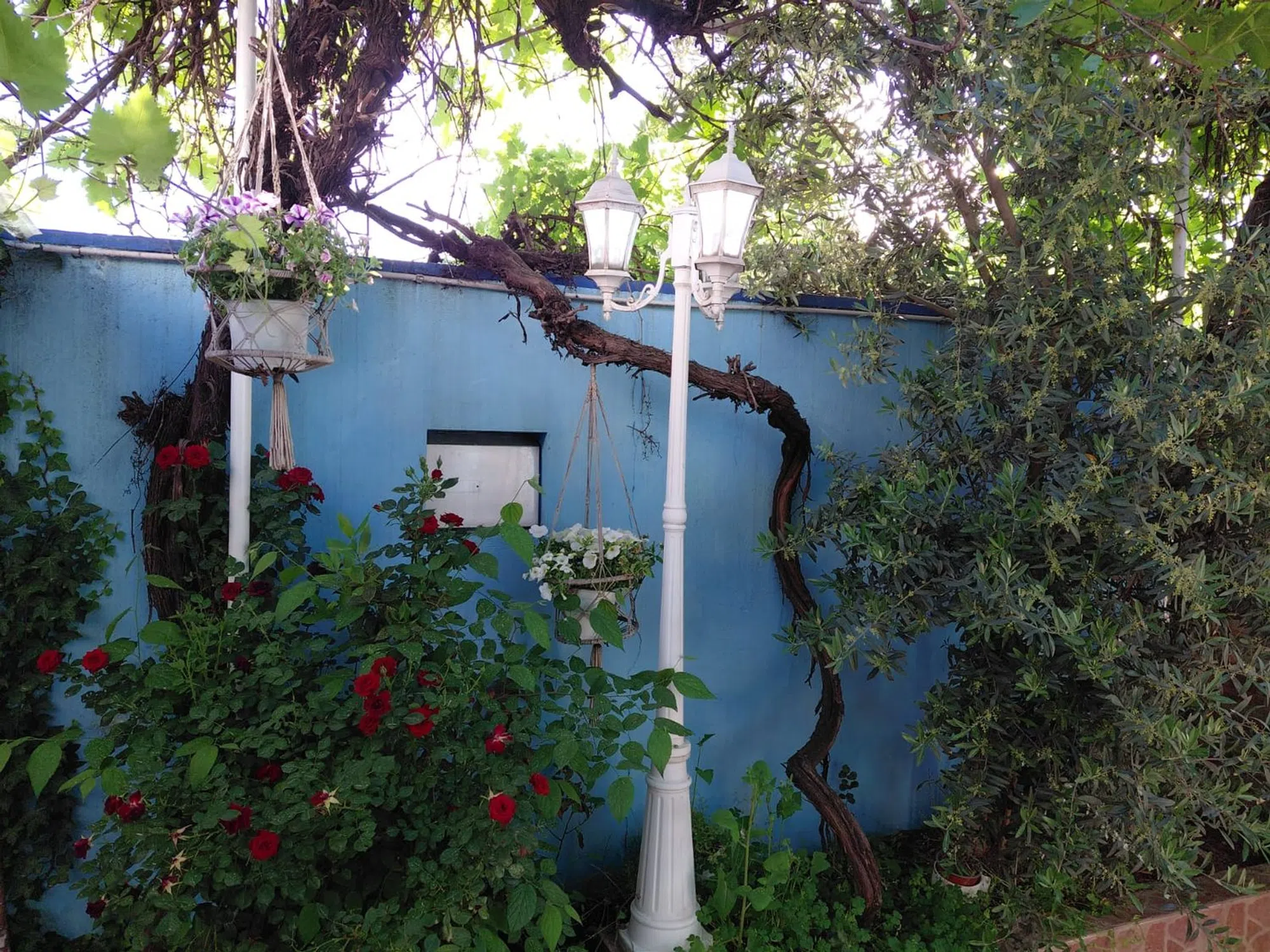 Casa independiente - Photo 3