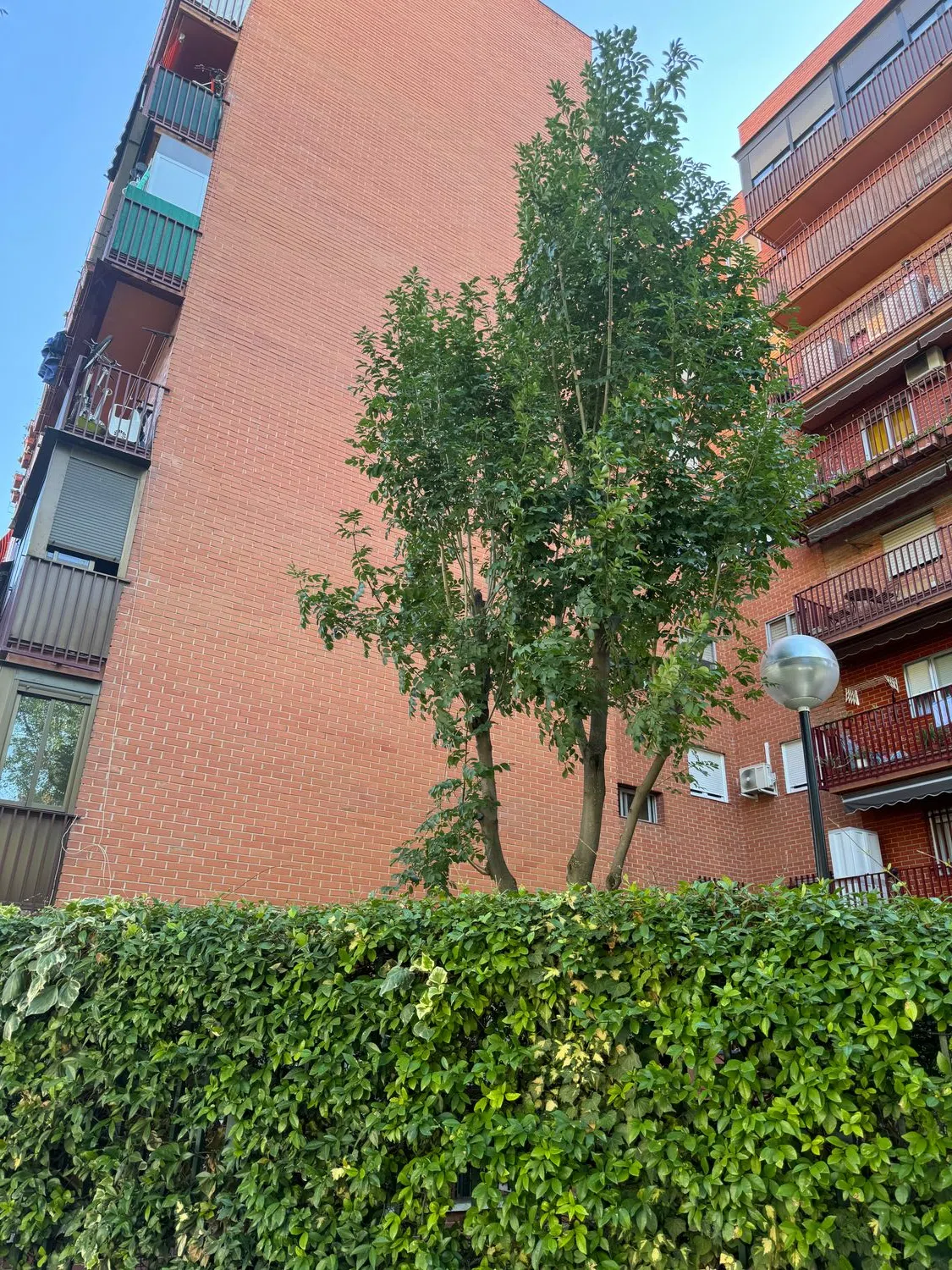 Piso en avenida de Pablo Neruda, 10 - Photo 2