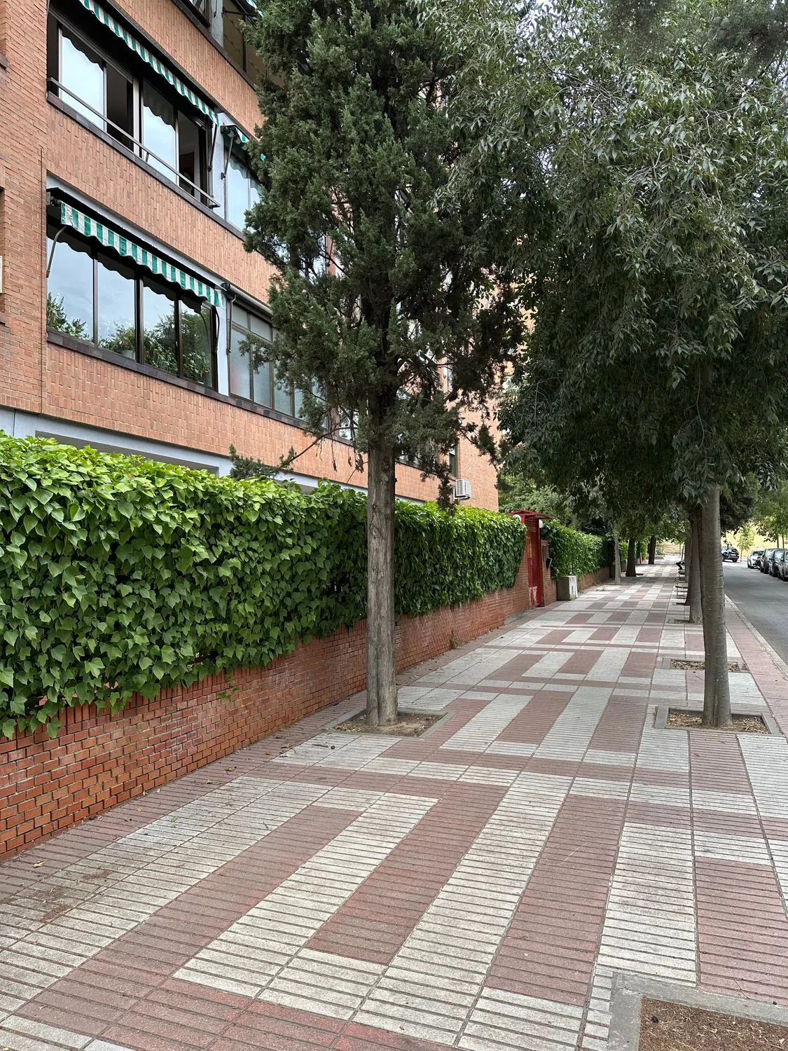 Piso en plaza de las Olivas, 1 - Photo 2