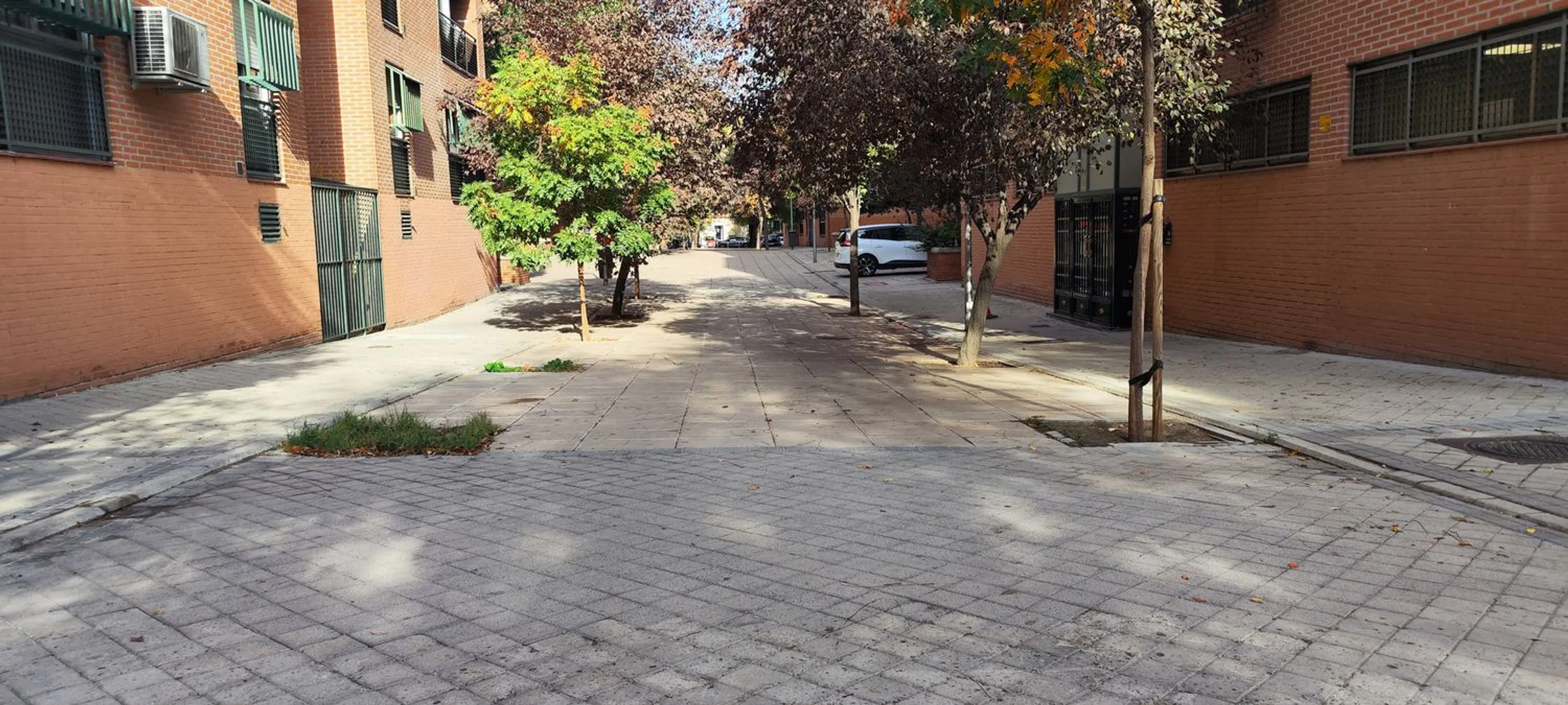 Piso en calle de la Virgen de la Oliva - Photo 3