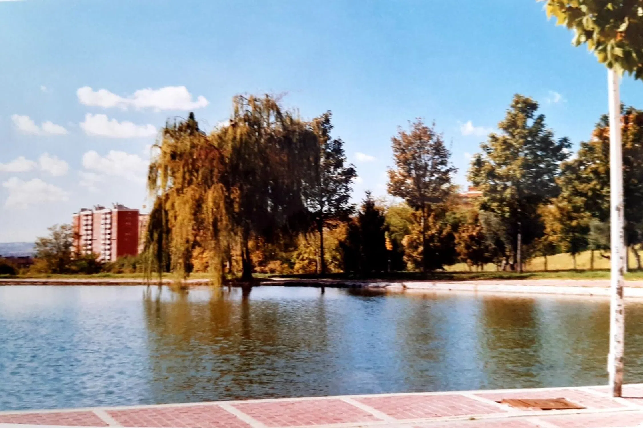Piso en avenida de Miguel Hernández - Photo 6