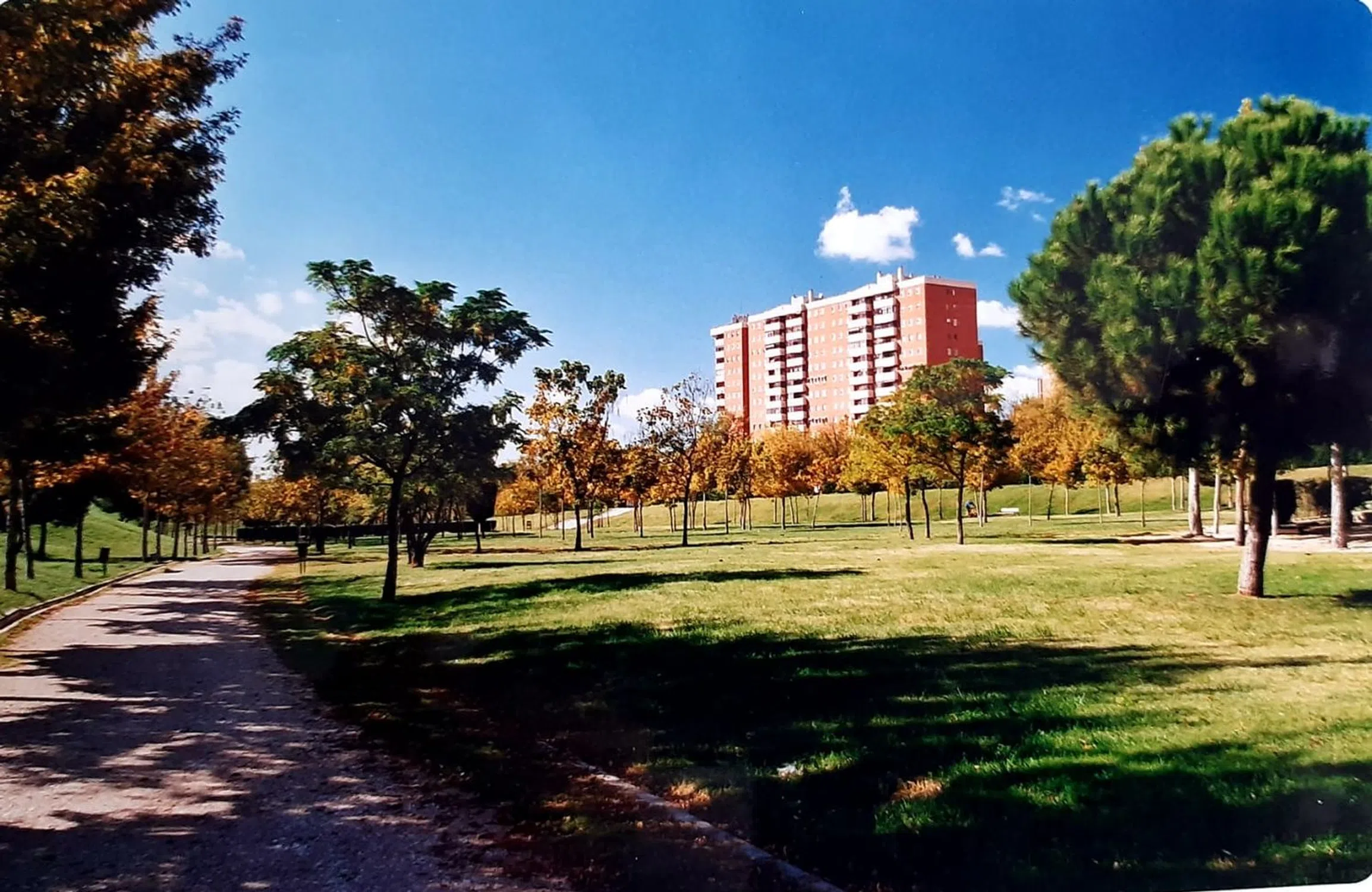 Piso en avenida de Miguel Hernández - Photo 8