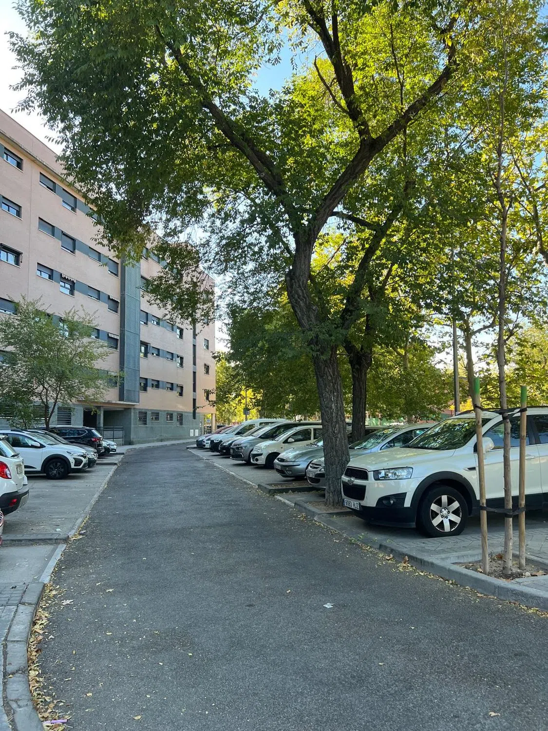 Piso - Photo 3