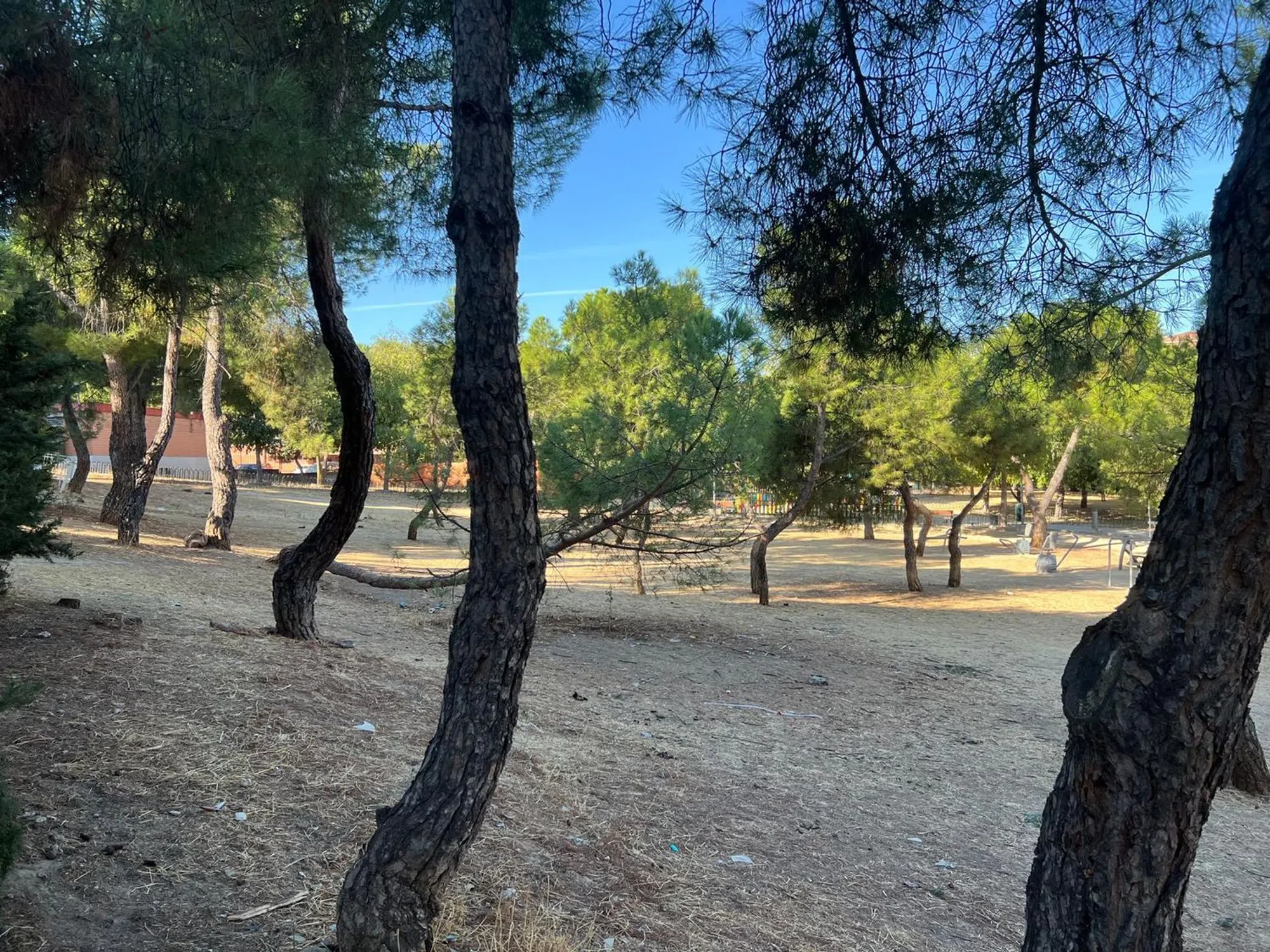 Piso - Photo 4