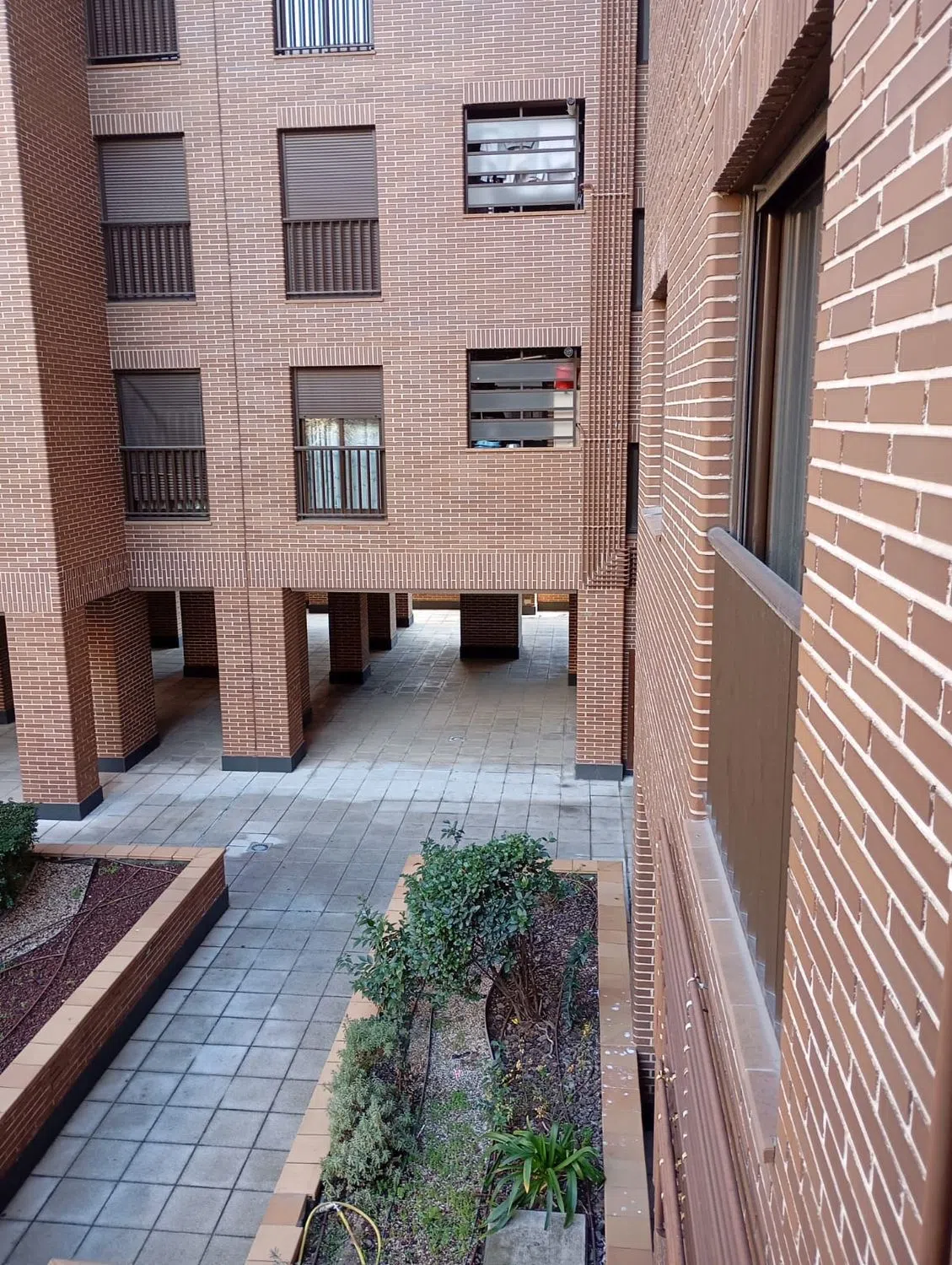 Piso en CL Lenguas - Photo 3