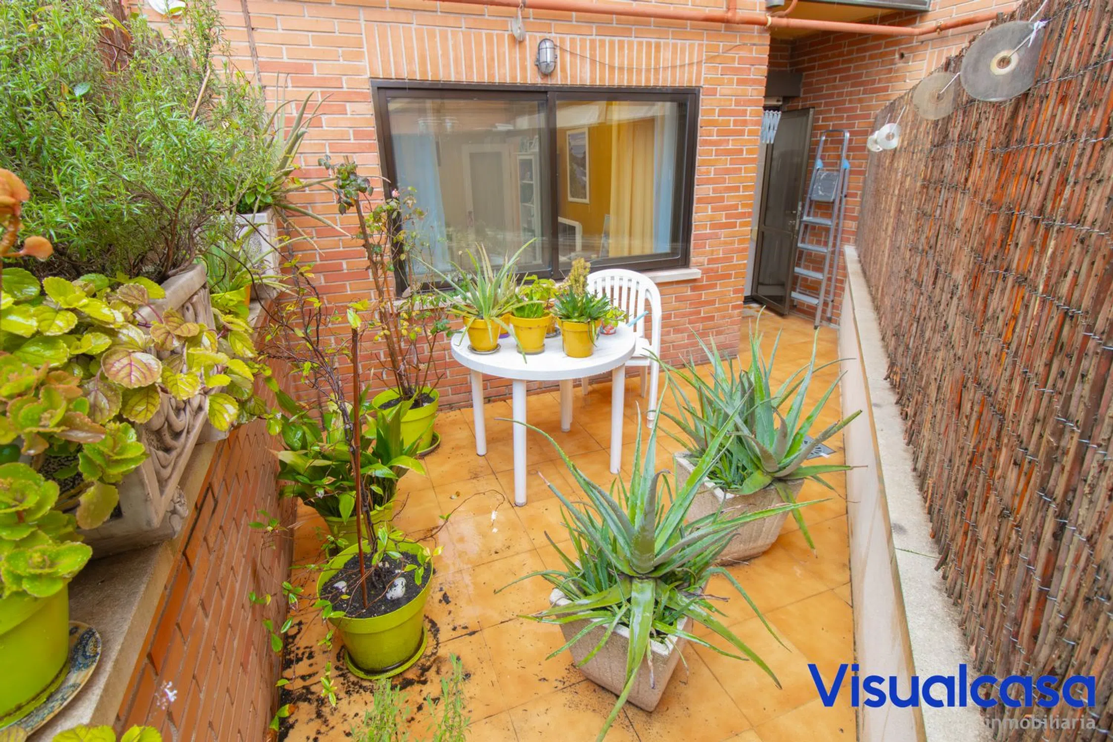 Piso en calle de Pando - Photo 3
