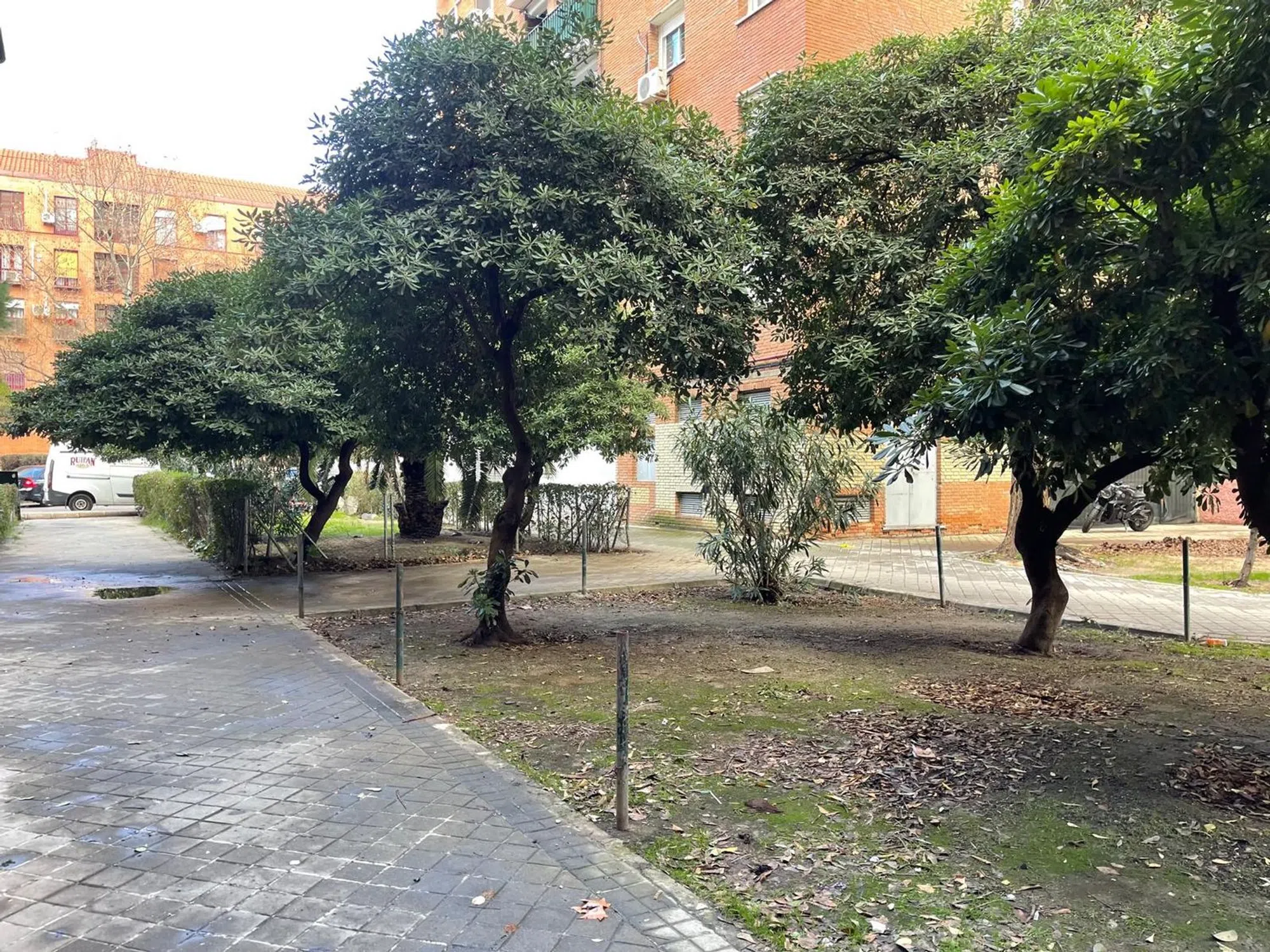 Piso en calle Mudela
