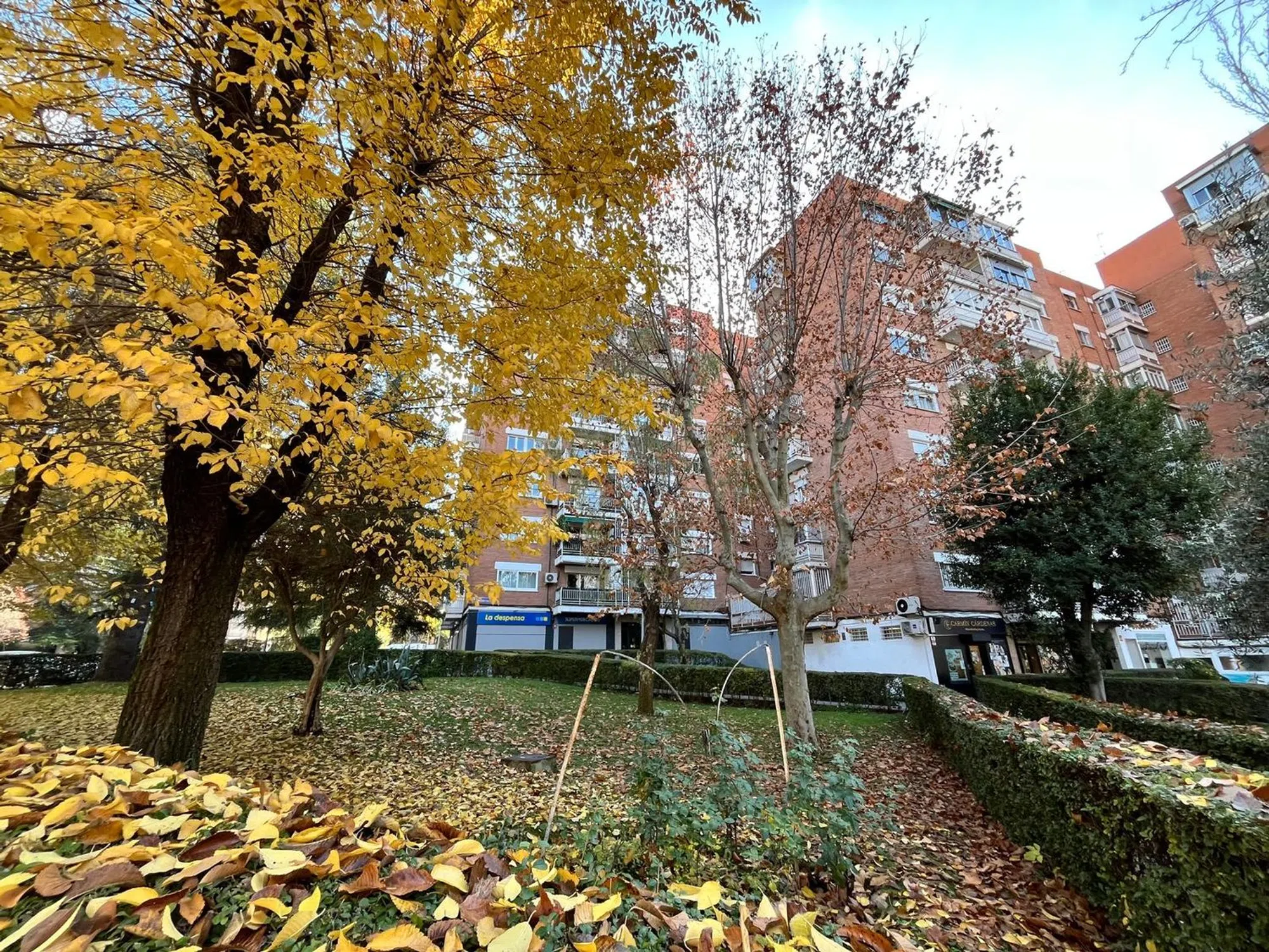 Piso en avenida del Doctor García Tapia