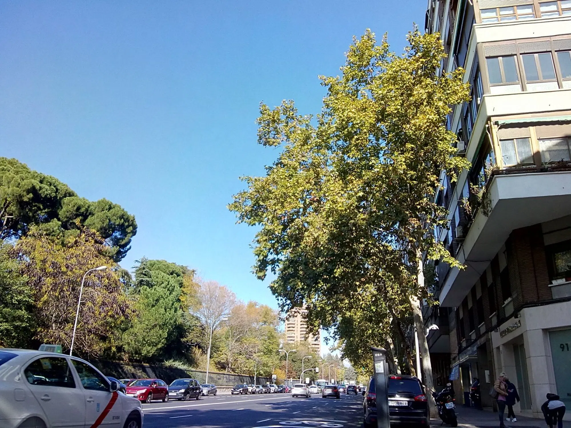 Piso - Photo 2