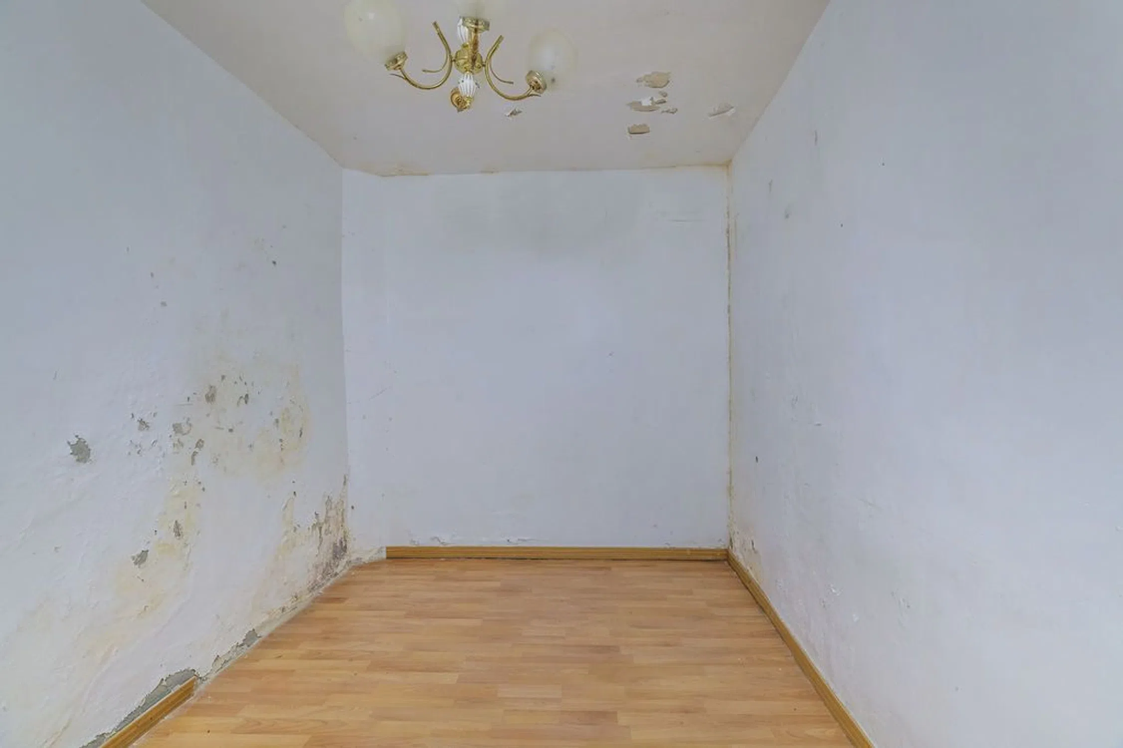 Piso en calle Sorgo - Photo 7